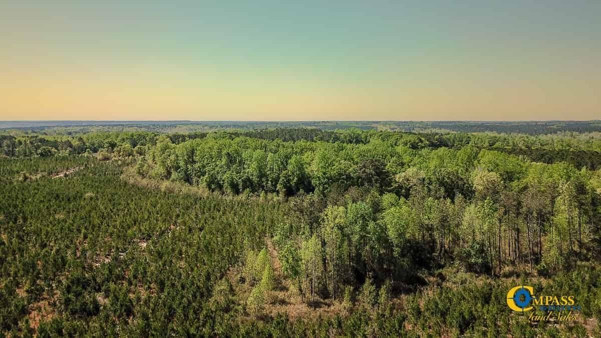 107 acres in Jefferson, SC, 29718