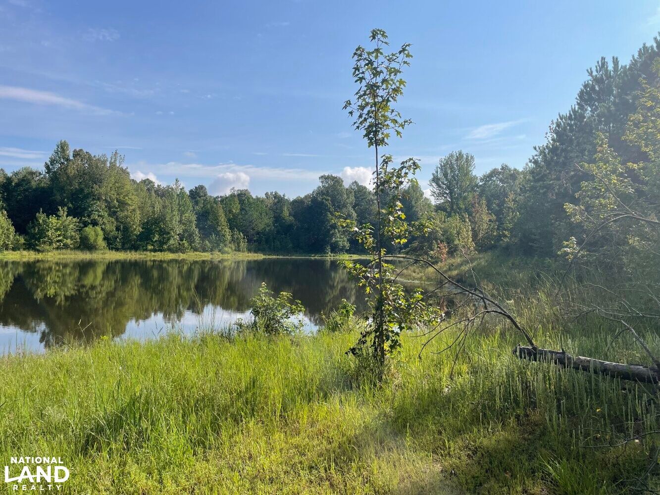 55 acres in McNairy County, Tennessee