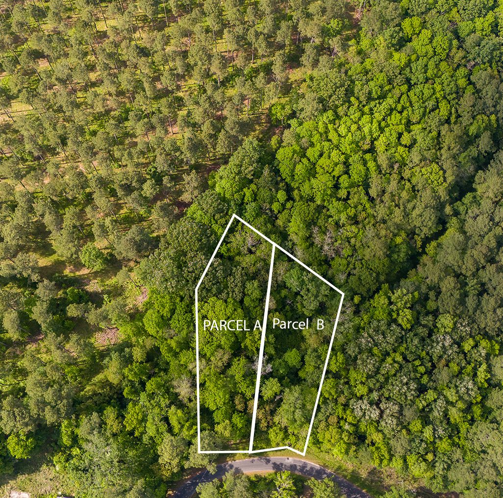 Prices Bridge Lane, Walterboro, SC 29488