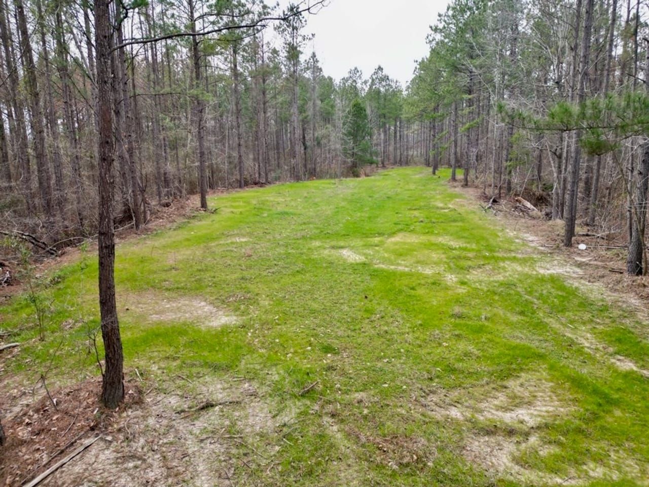 55 acres in Adams County, Mississippi