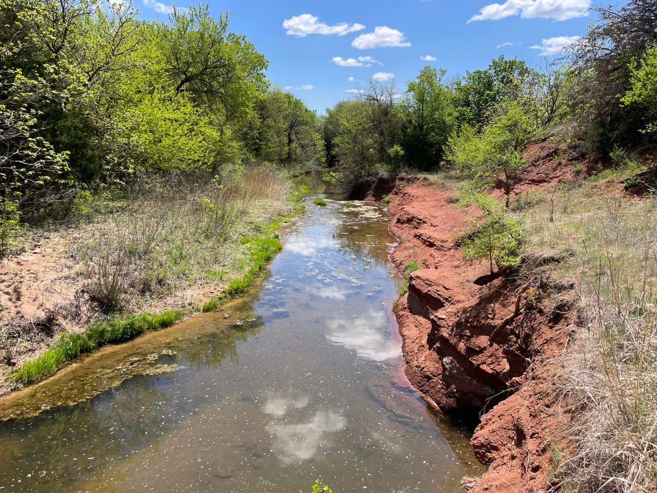 151 acres in Argonia, KS, 67004