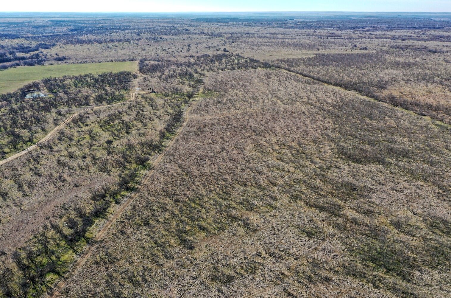 80 acres in Throckmorton County, Texas