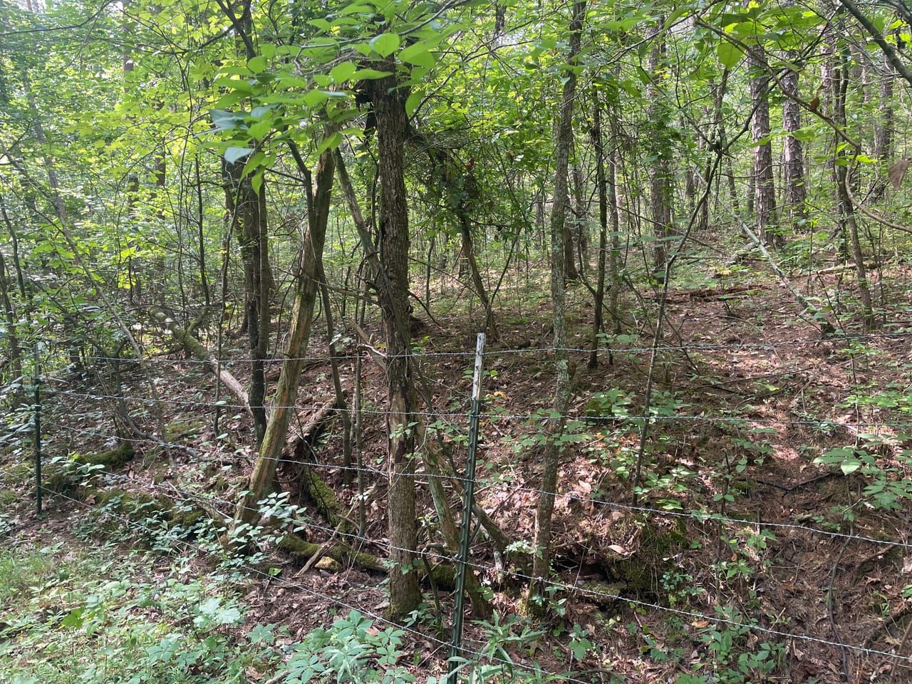 10 acres in Lawrence County, Alabama
