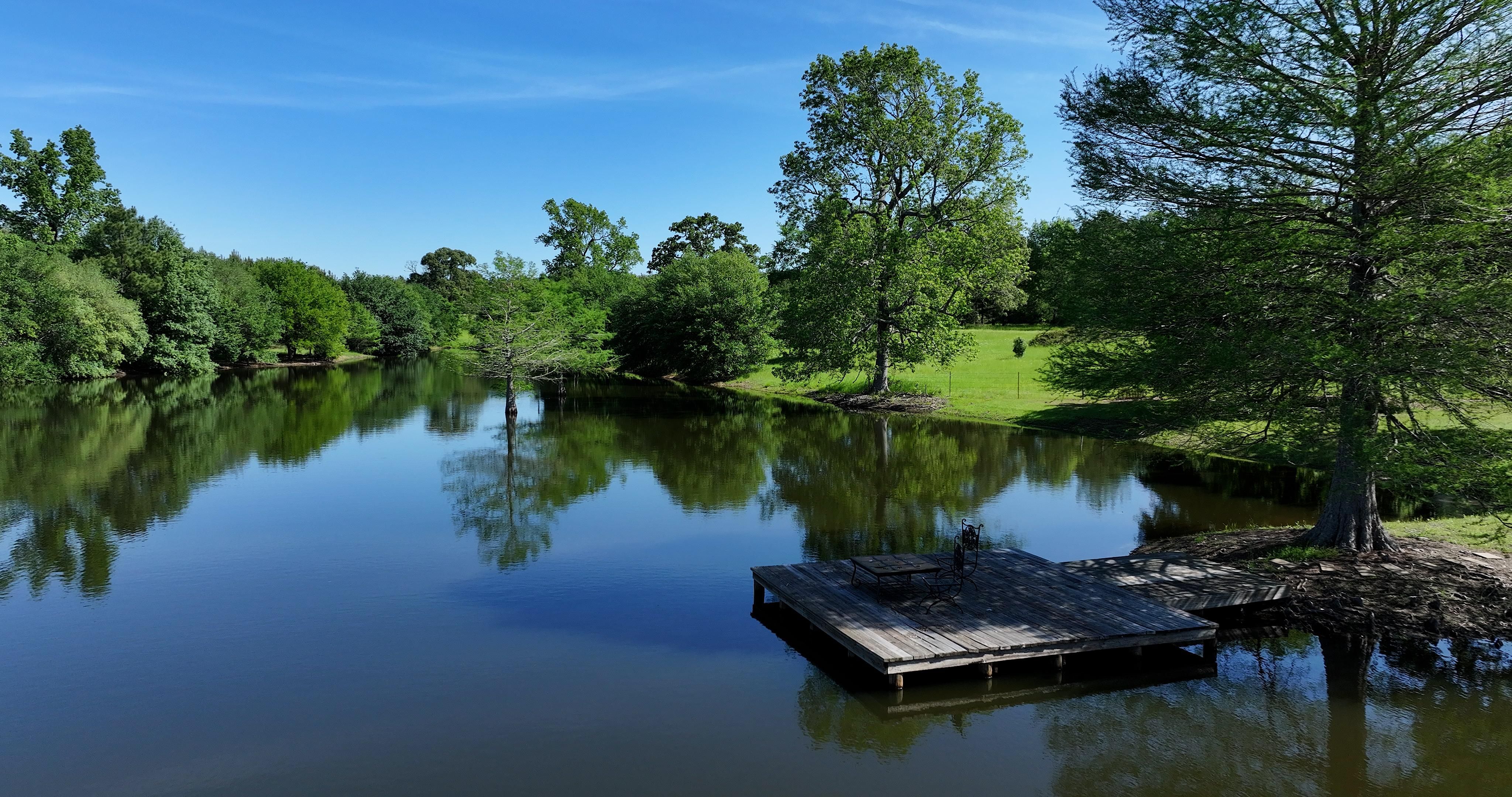 125 Sandy Creek Nursery Road, Huntsville, TX 77340 MLS 14936379