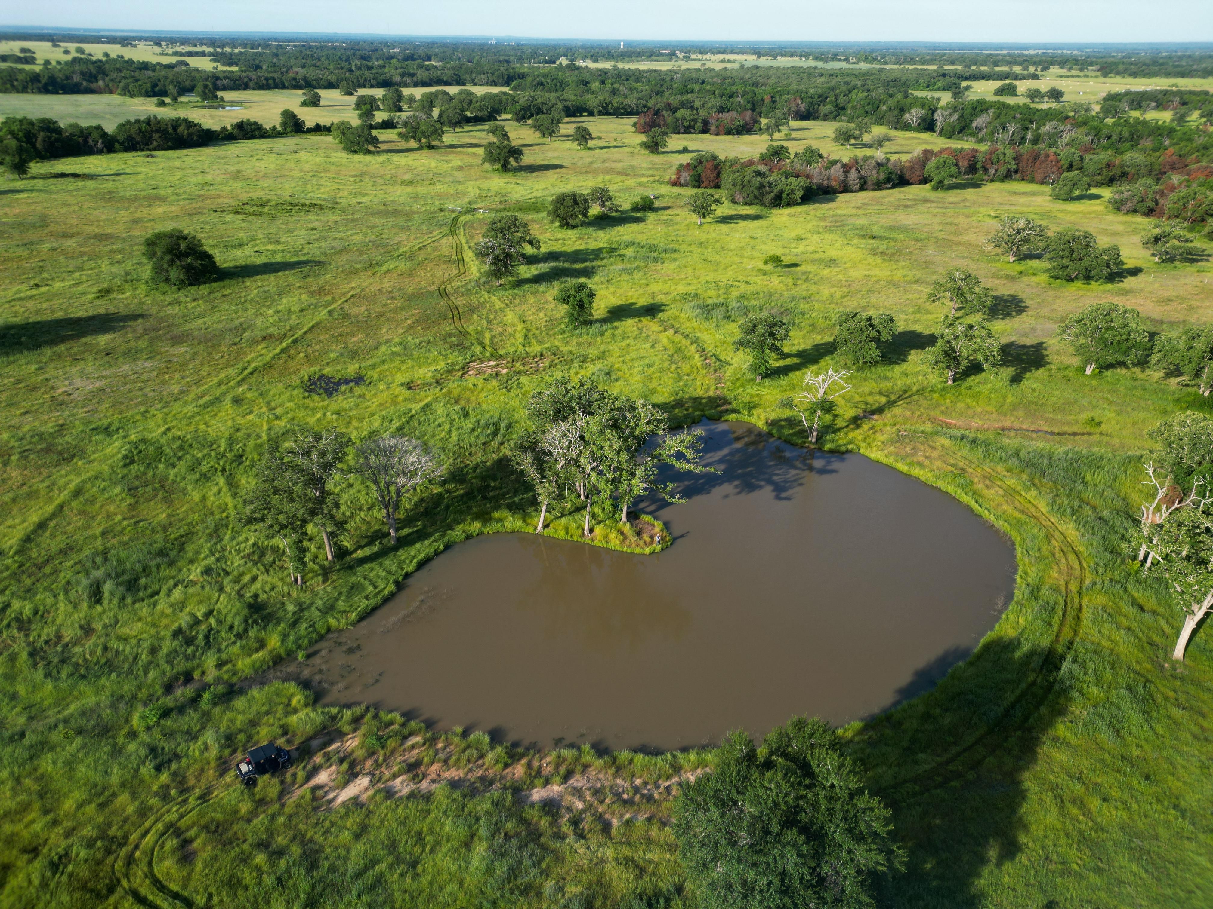 FM979, Calvert, TX 77837 MLS Mighty Waters Ranch