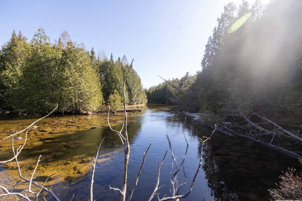 0 Trout Lake Road, LotWP001, Chatham, MI 49816