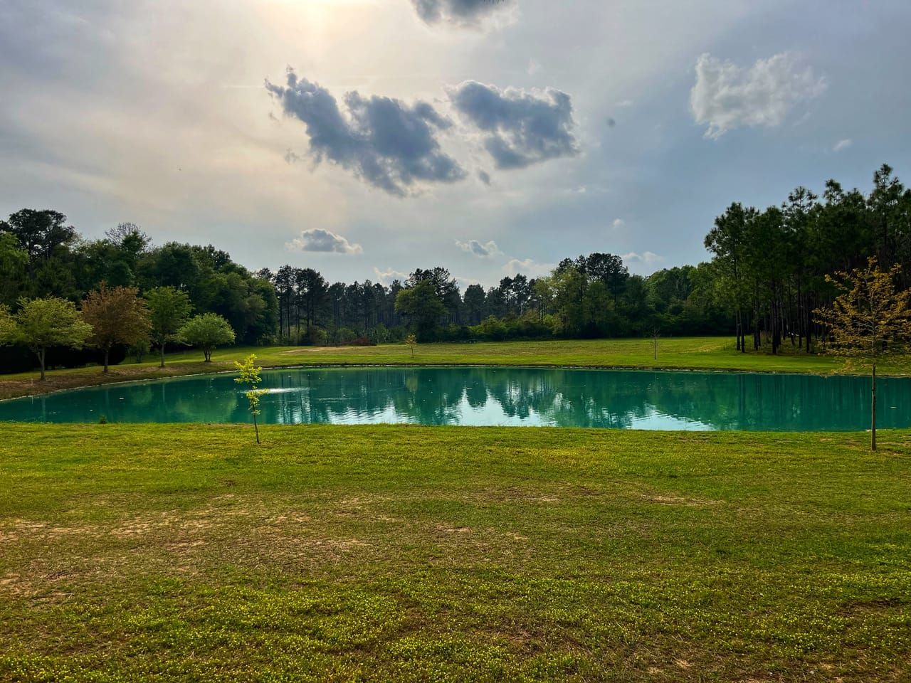 21 acres in Terrell County,