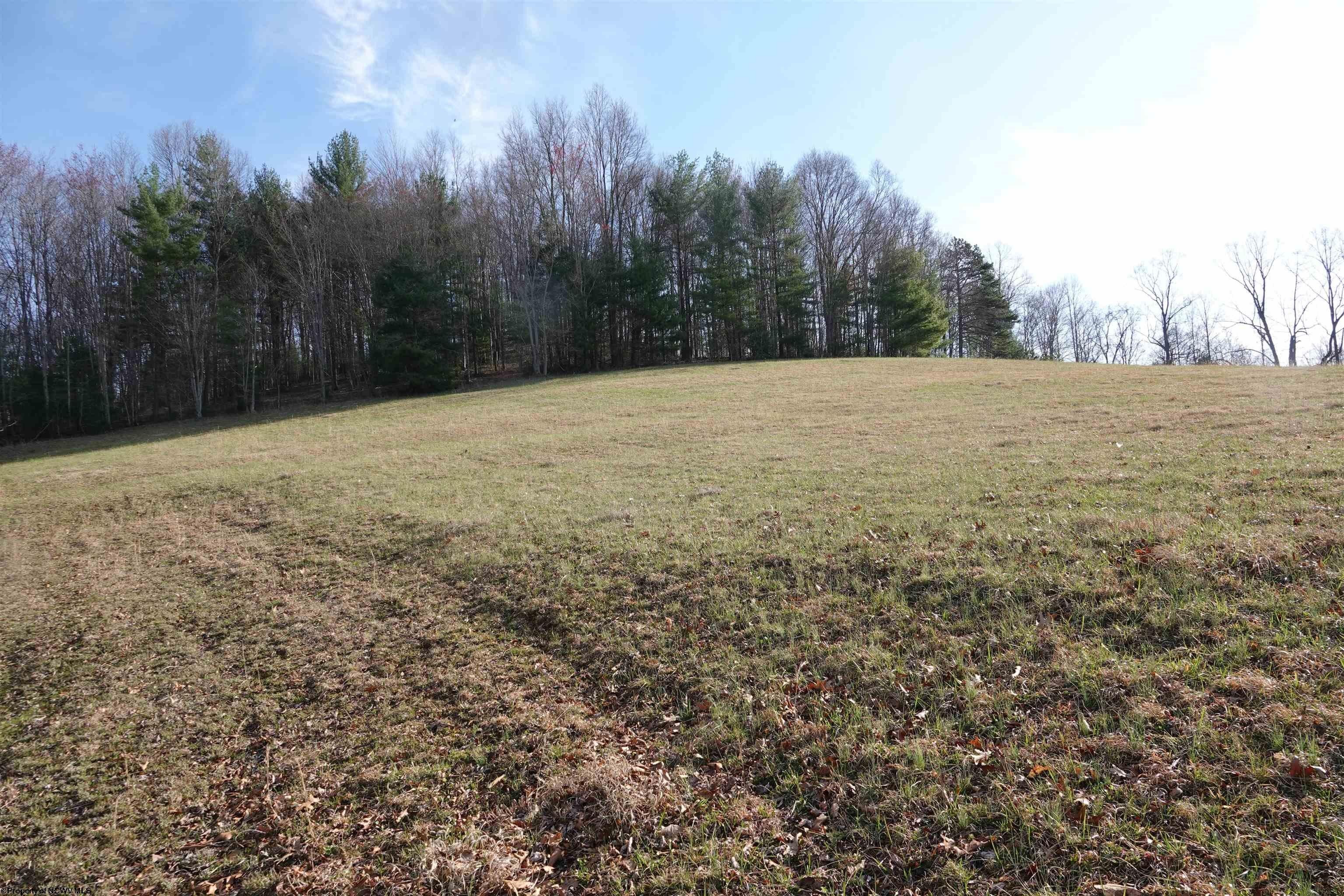 65.5 acres in Braxton County, West Virginia