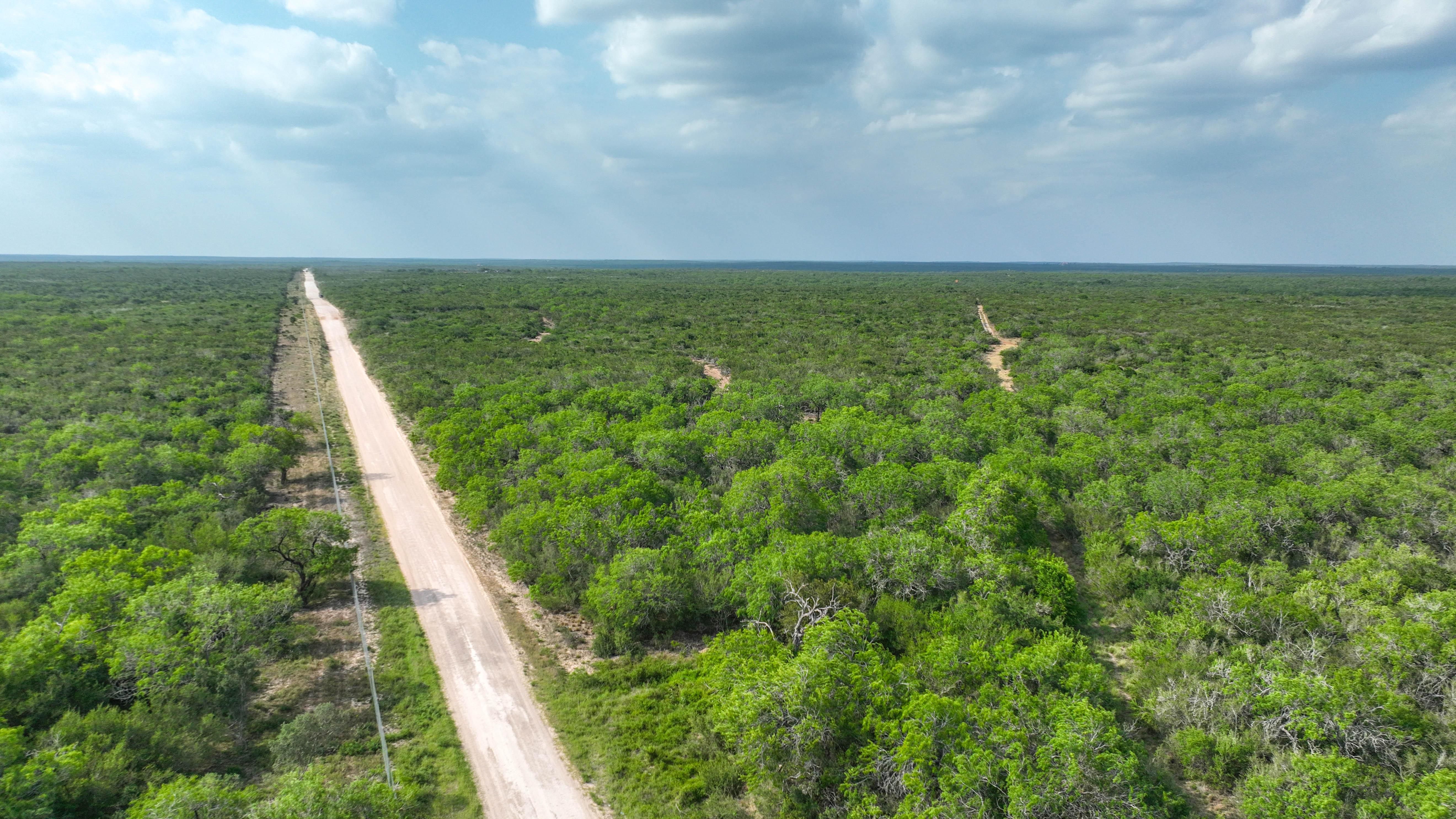 87 acres in San Diego, TX, 78384