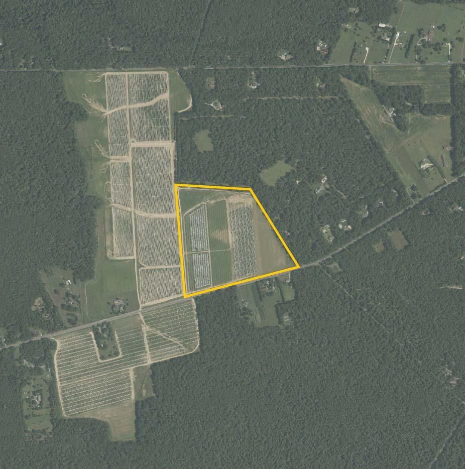 36 acres in Cedarville, NJ, 08311