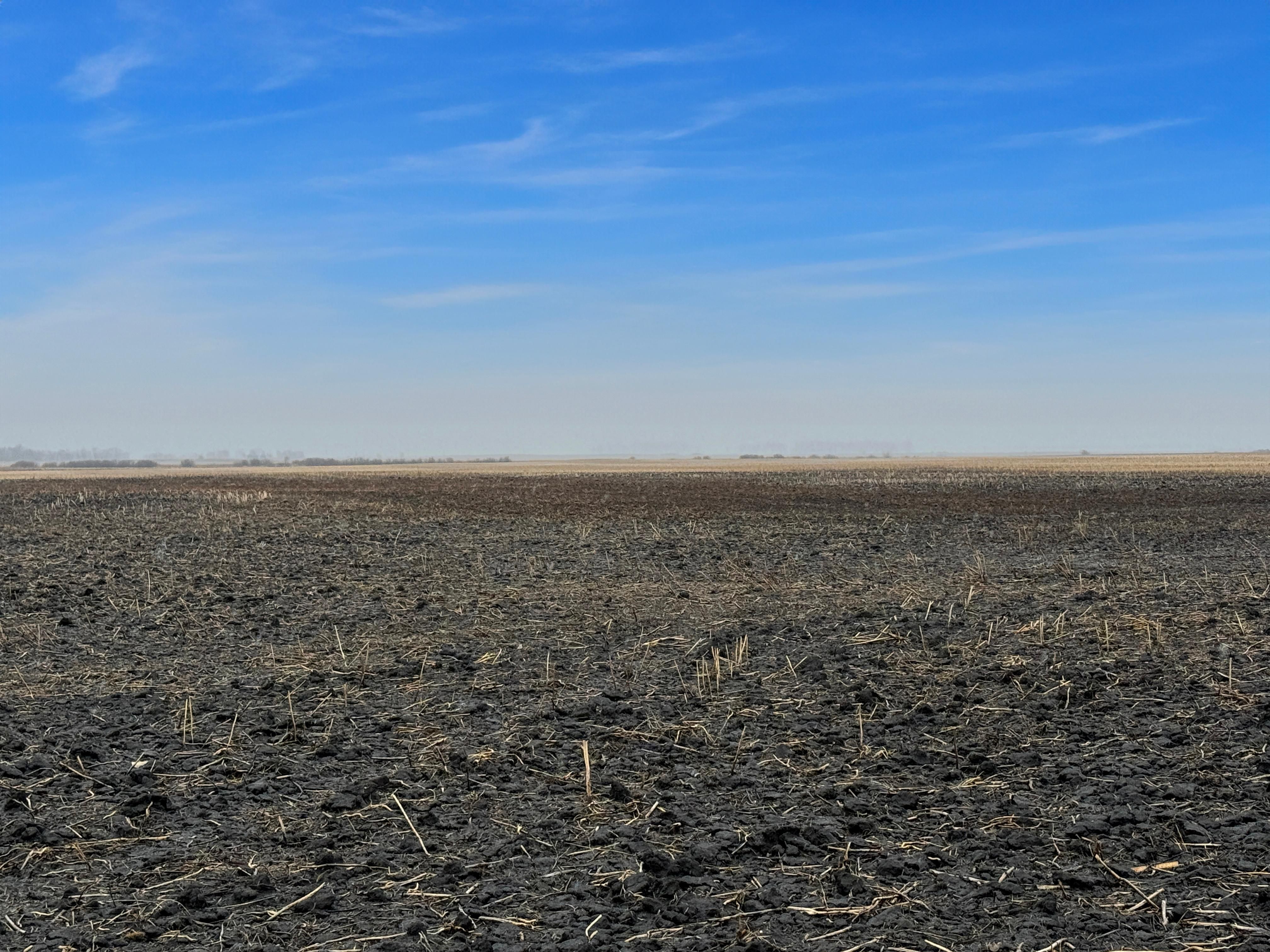 80 acres in Bottineau, ND, 58318