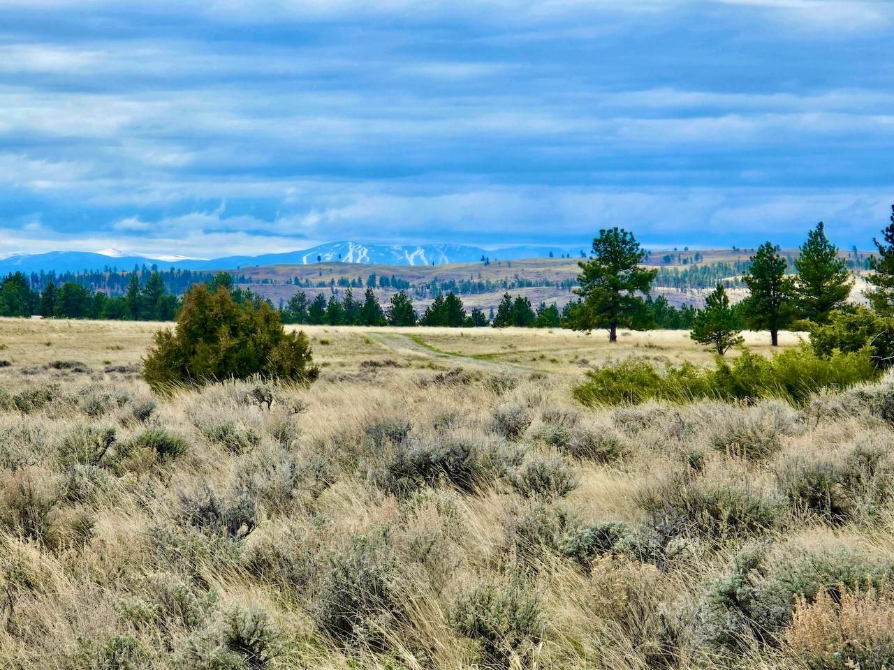 Nhn Prairie Butte Rd., Park City, MT 59063