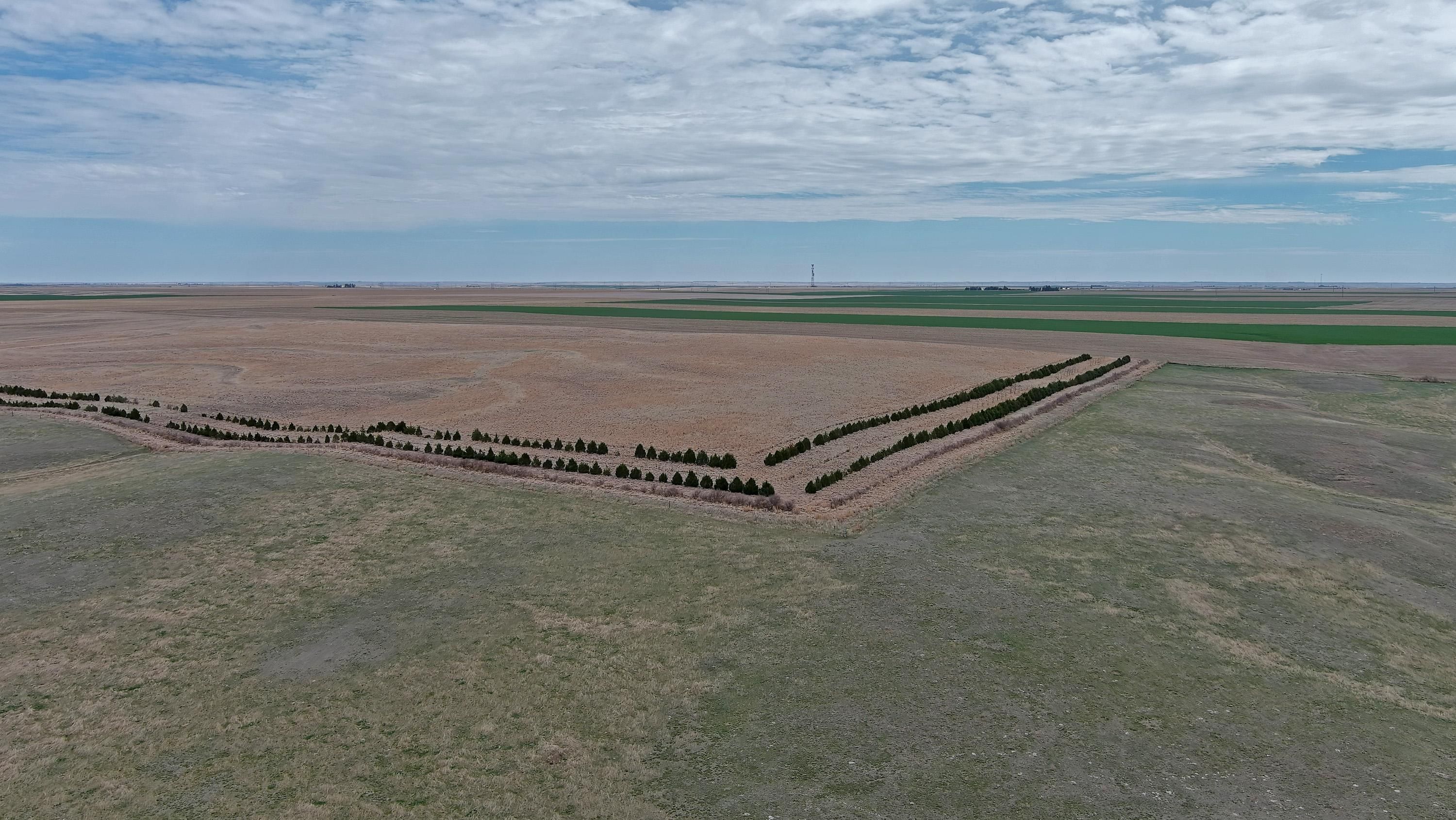 316 acres in Chappell, NE, 69129 MLS Timm CRP & Pasture