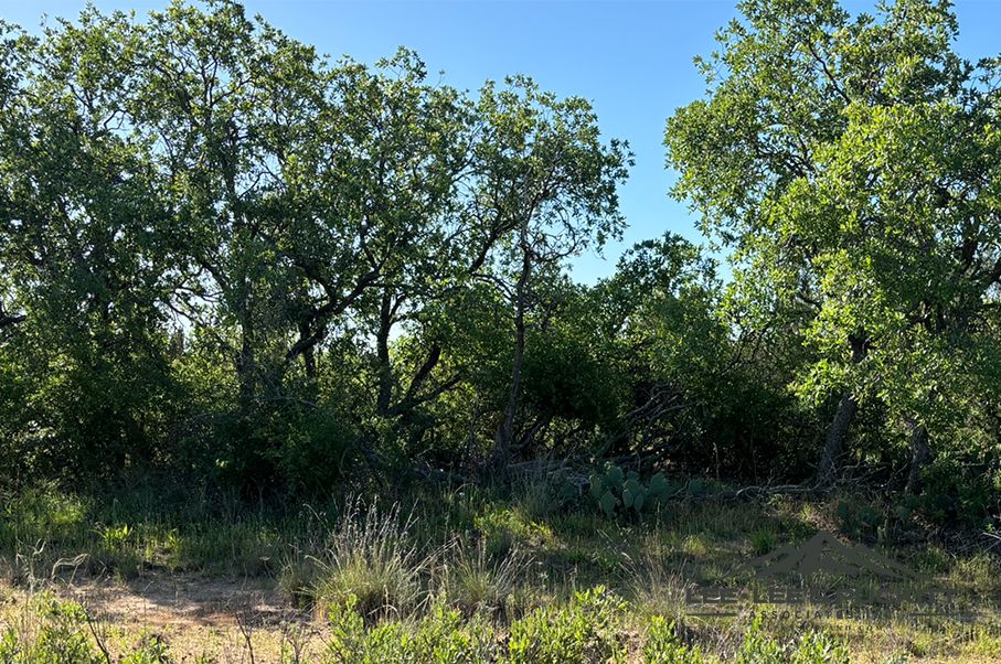 111.89 acres in Robert Lee, TX, 76945