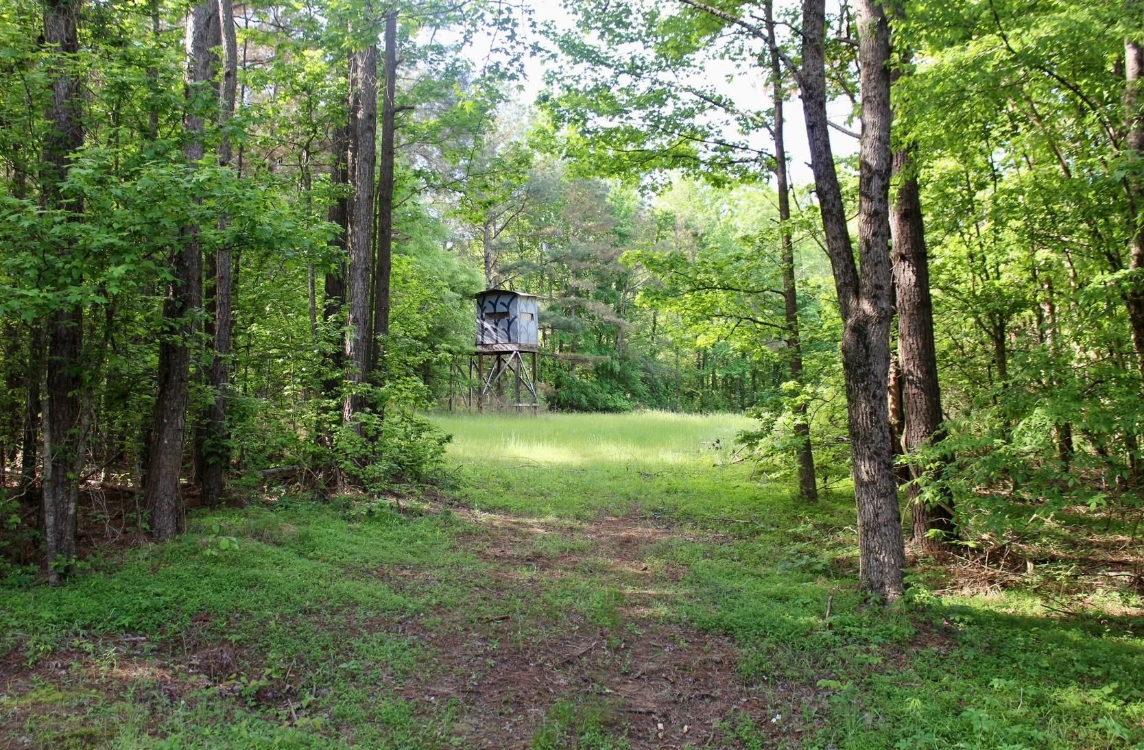 43 acres in Lamar, MS, 38642