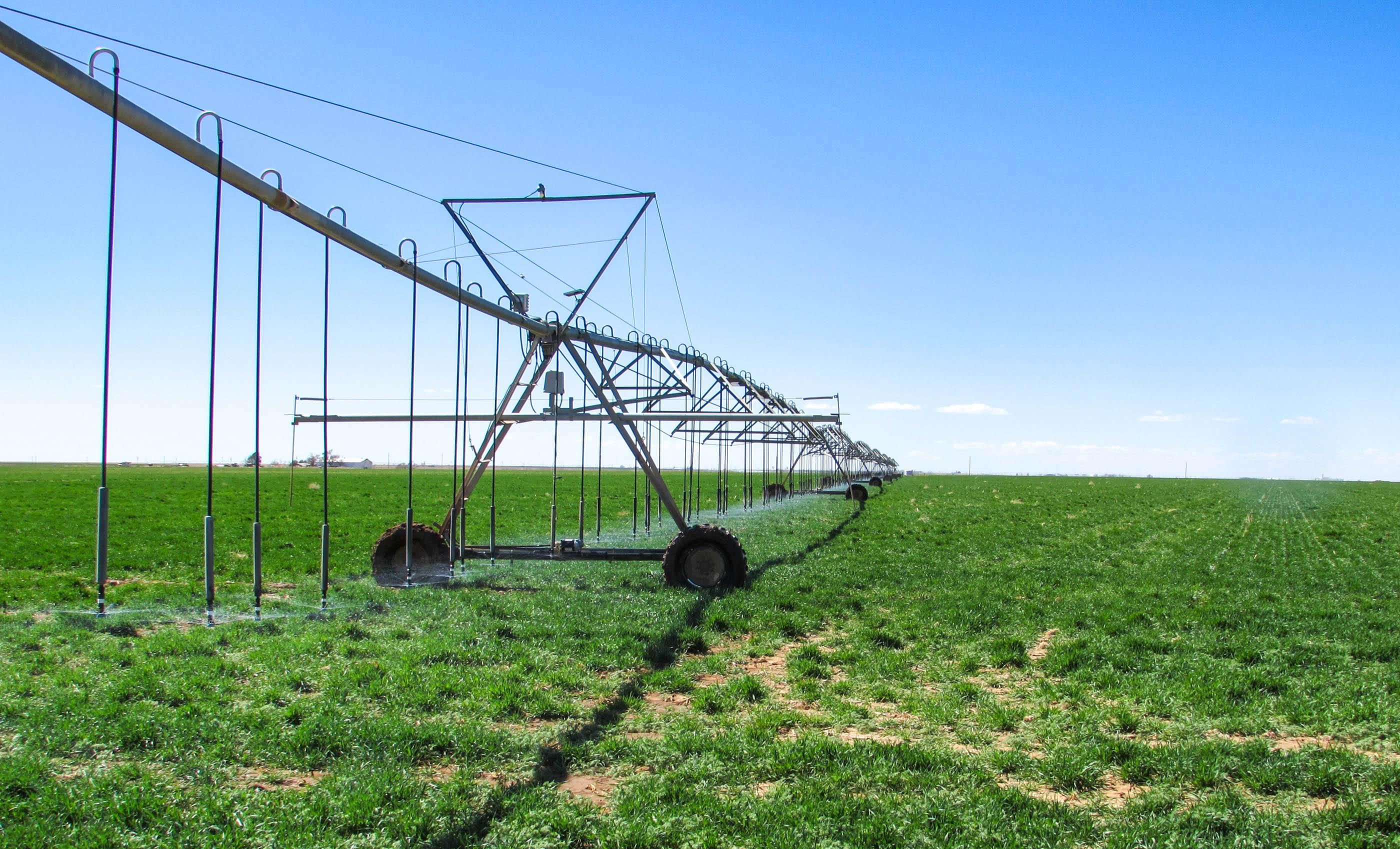 320 acres in Friona, TX, 79035