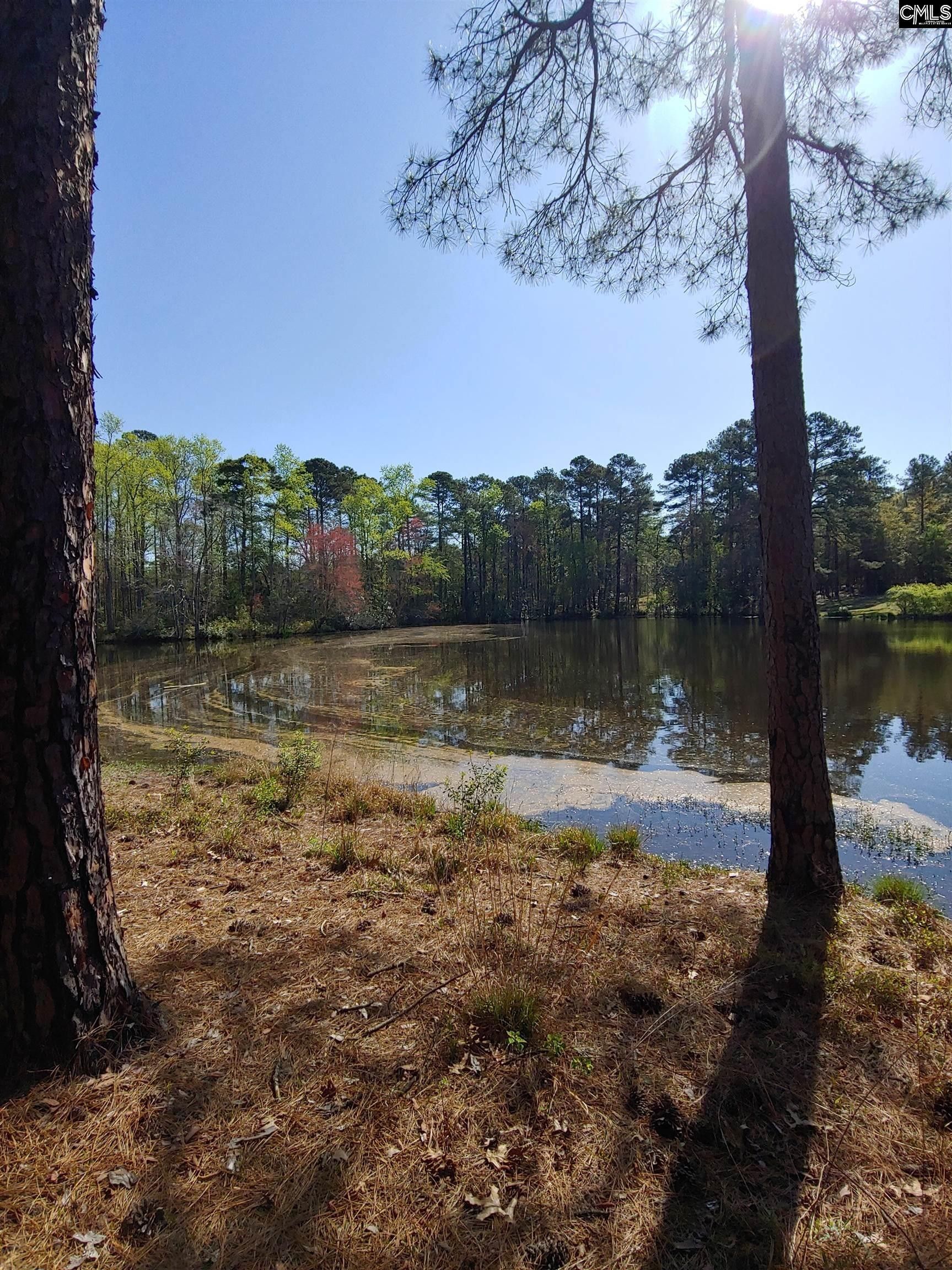 00 Lenore Drive, West Columbia, SC 29172 MLS 584386