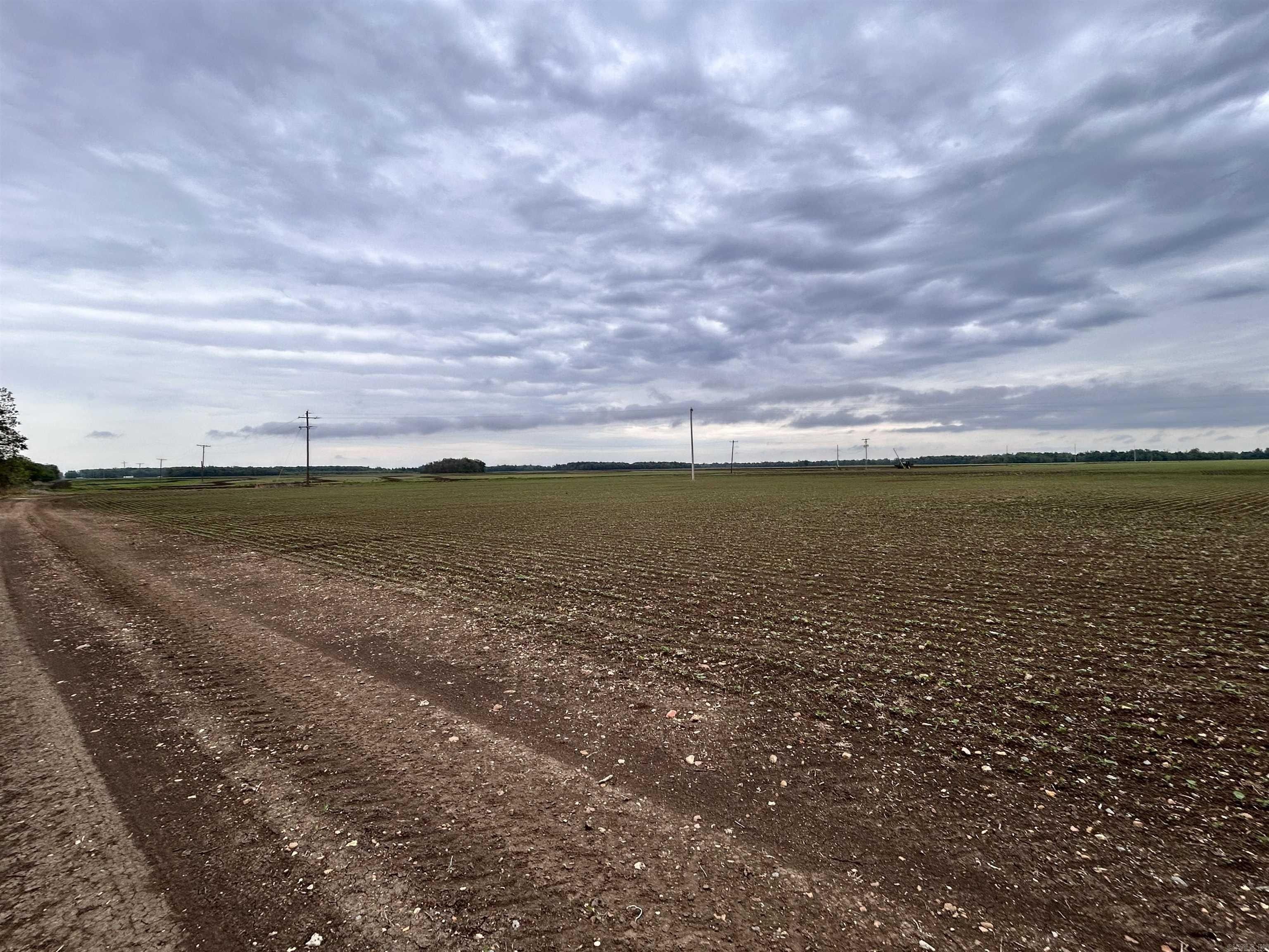 50 acres in Saint Francis County, Arkansas