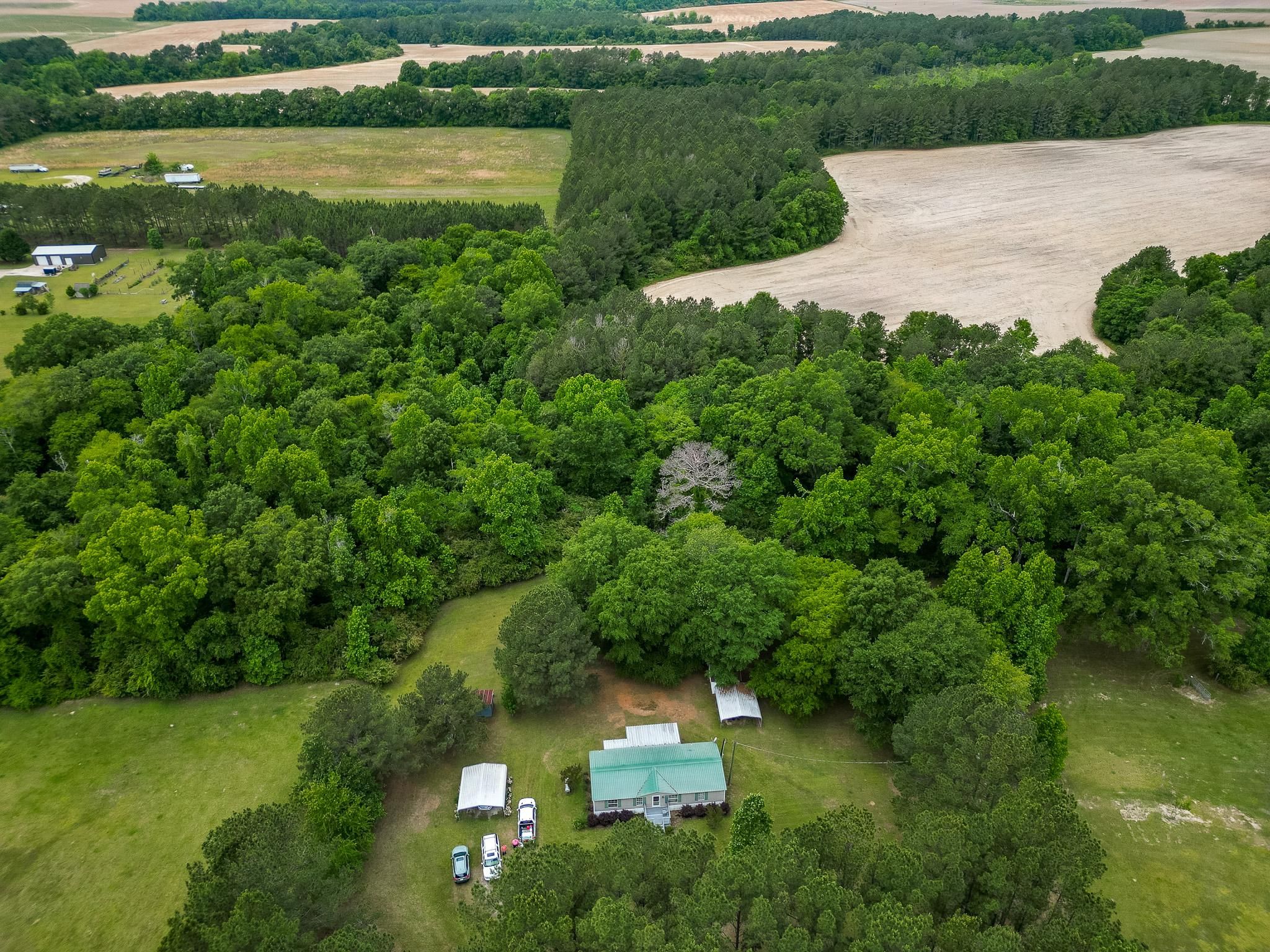 5 acres in Sumter County,