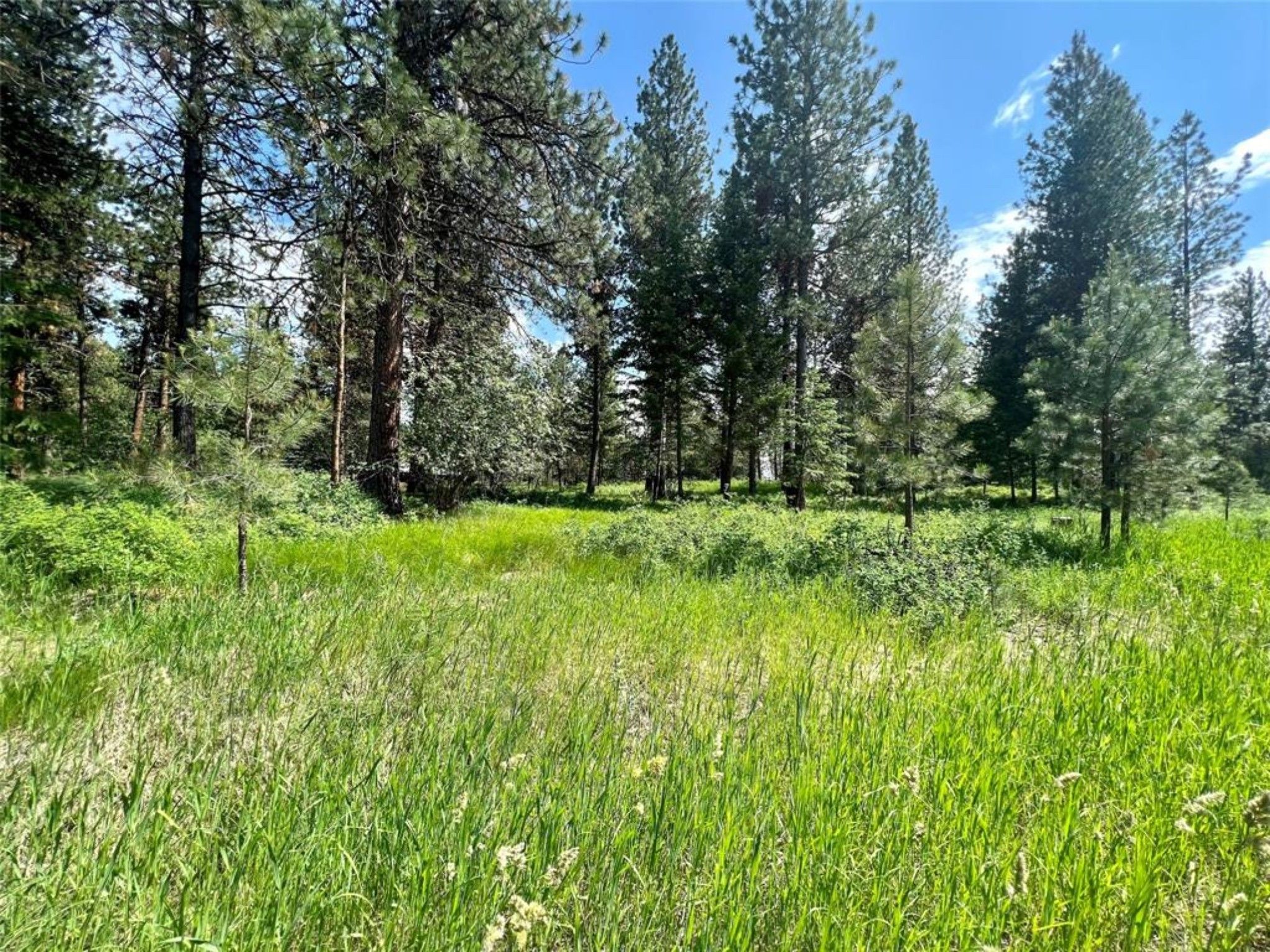2.39 acres in Lake County, Montana