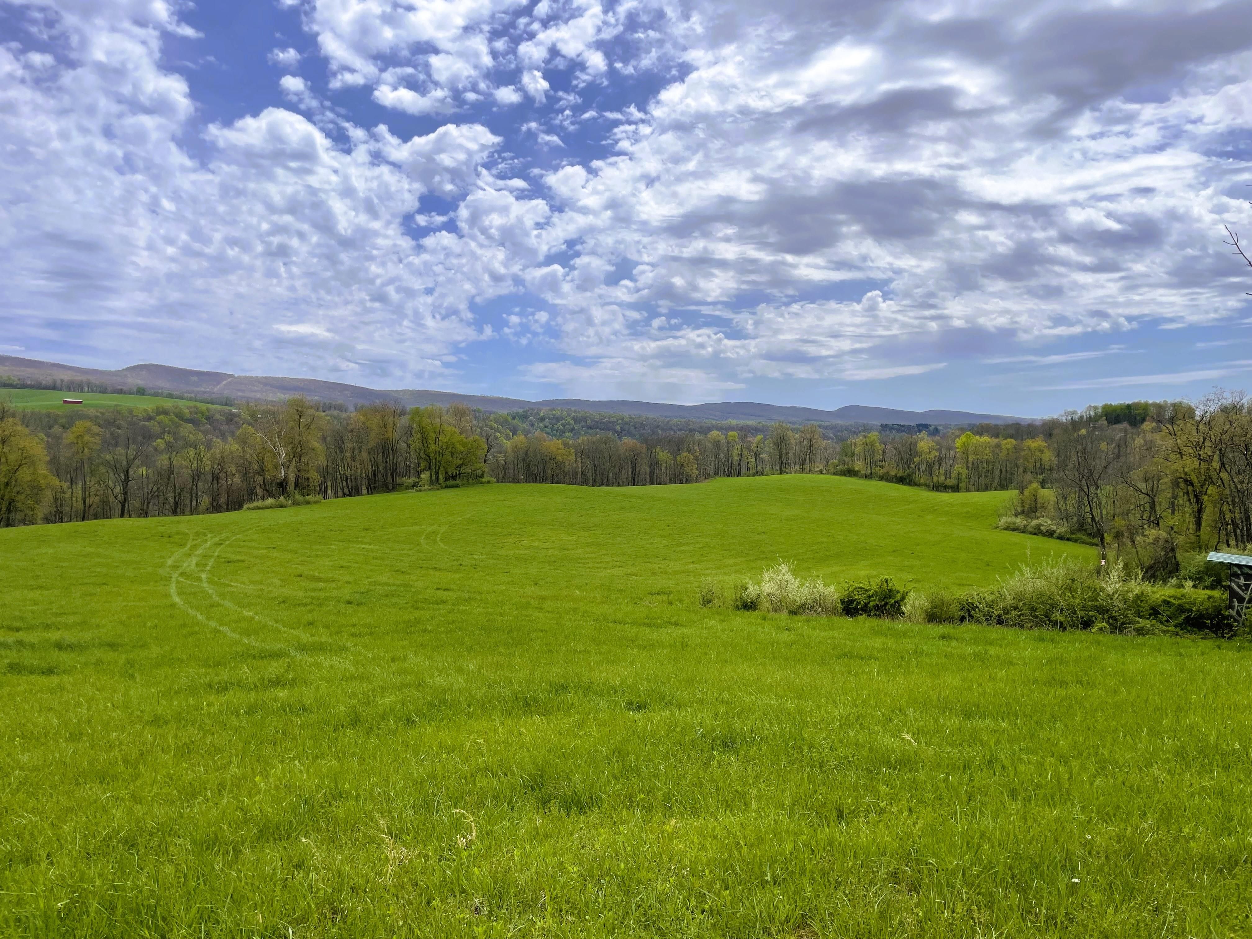 350 acres in Kingwood, WV, 26537