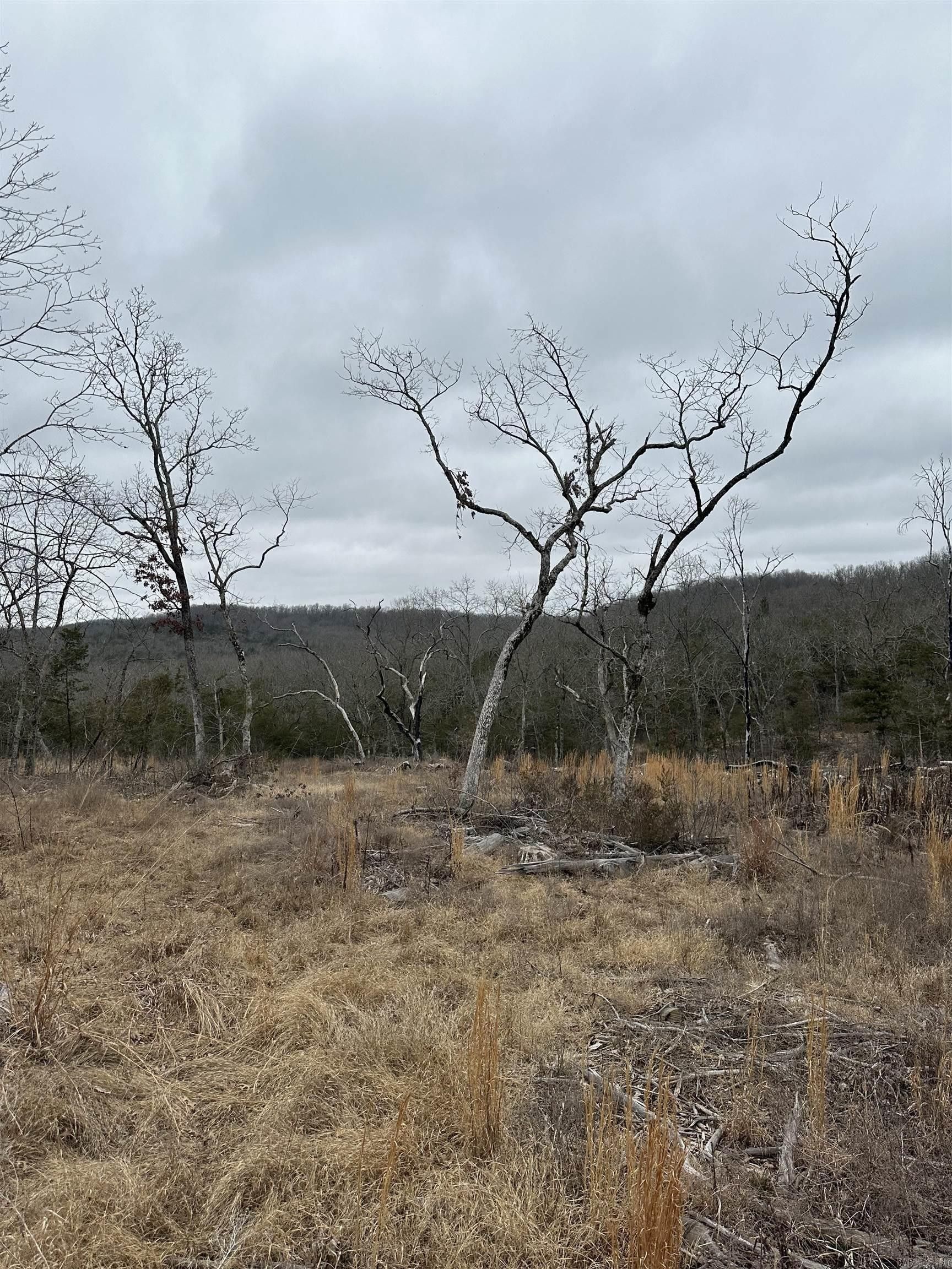 105 acres in Sharp County, Arkansas