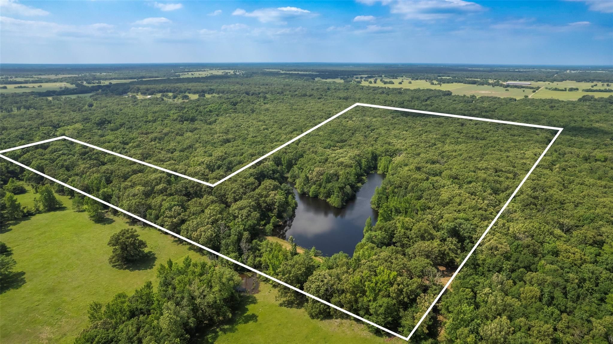 60 County Road 3635, Dike, TX 75437 MLS 20608001