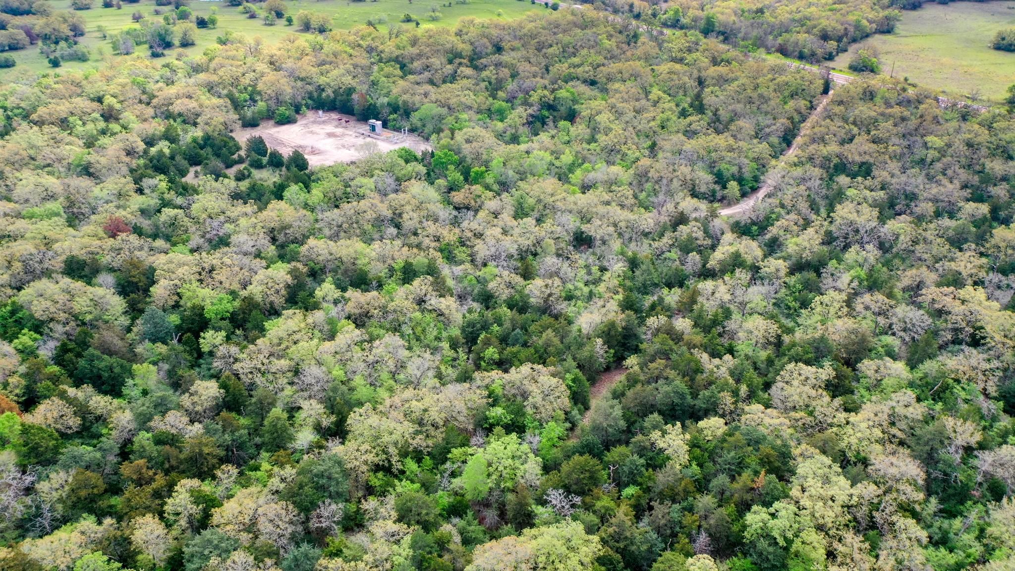 32 AC Texas 21, North Zulch, TX 77872 MLS 98198575