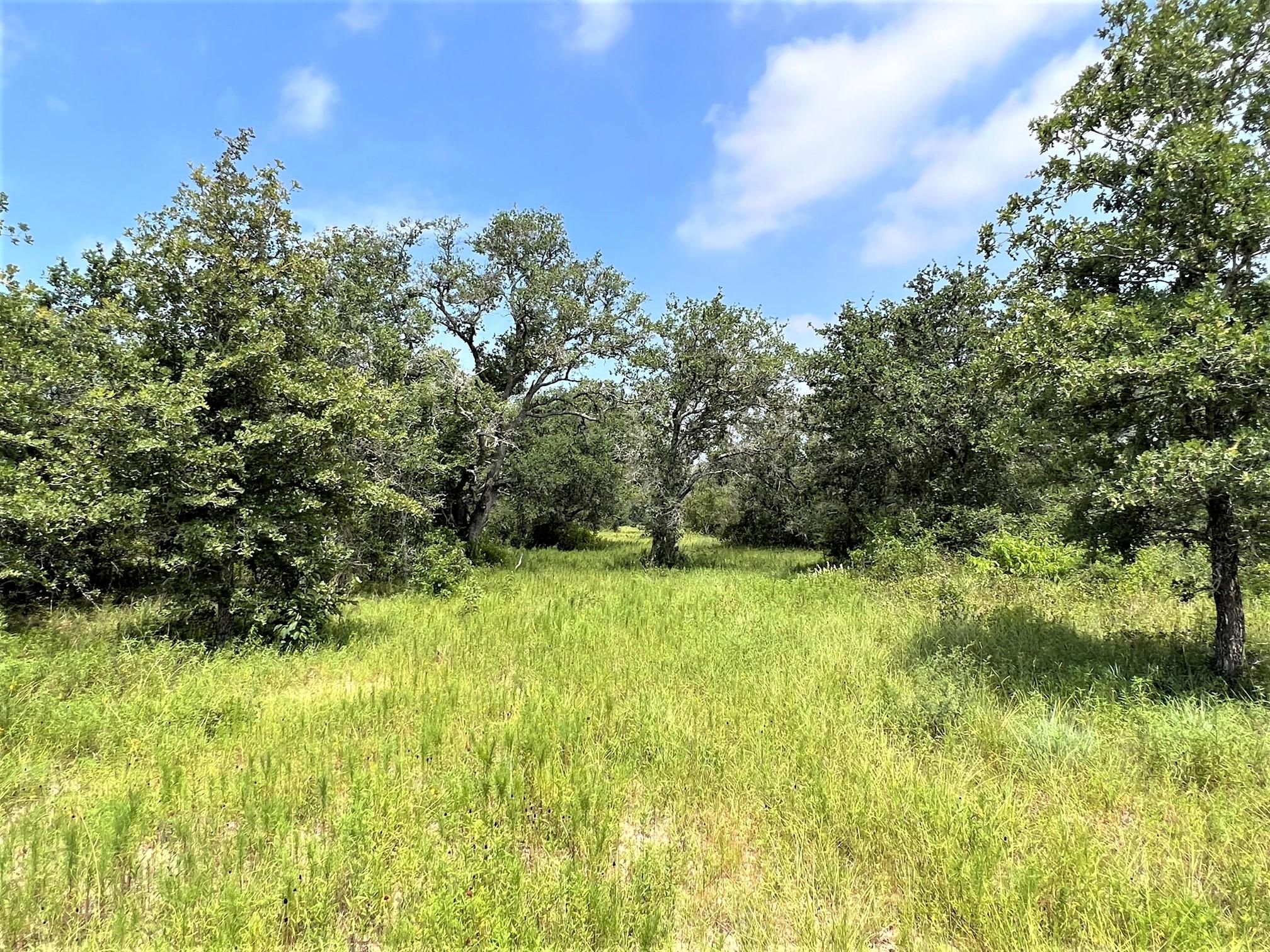 136 acres in Goliad, TX, 77963