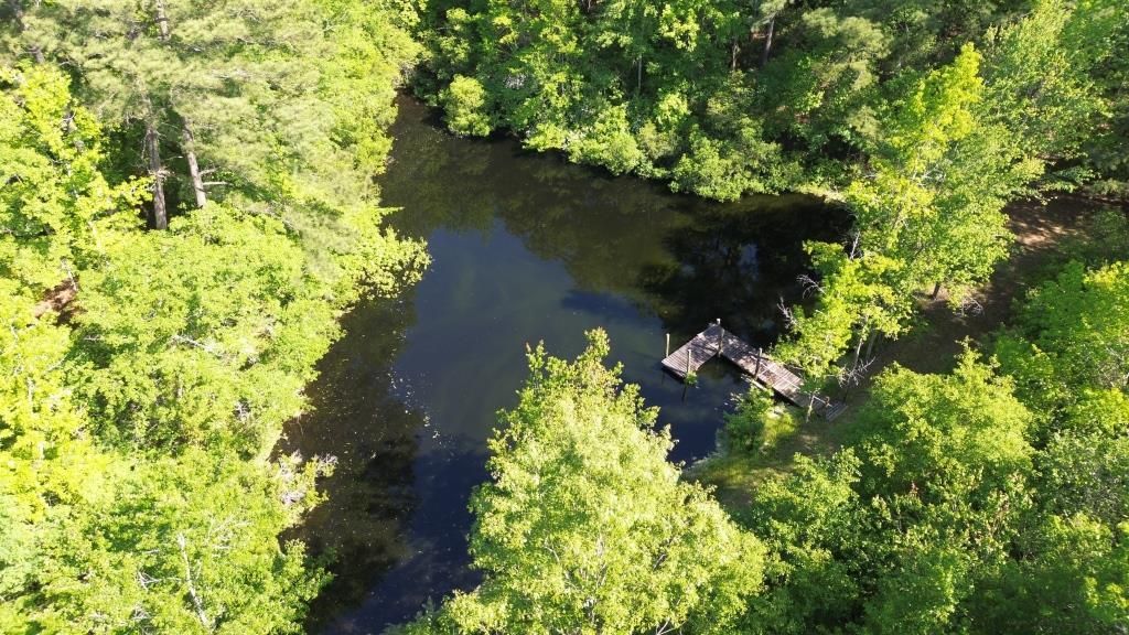 60 acres in Saint Matthews, SC, 45017 MLS Tract B665Silverberry