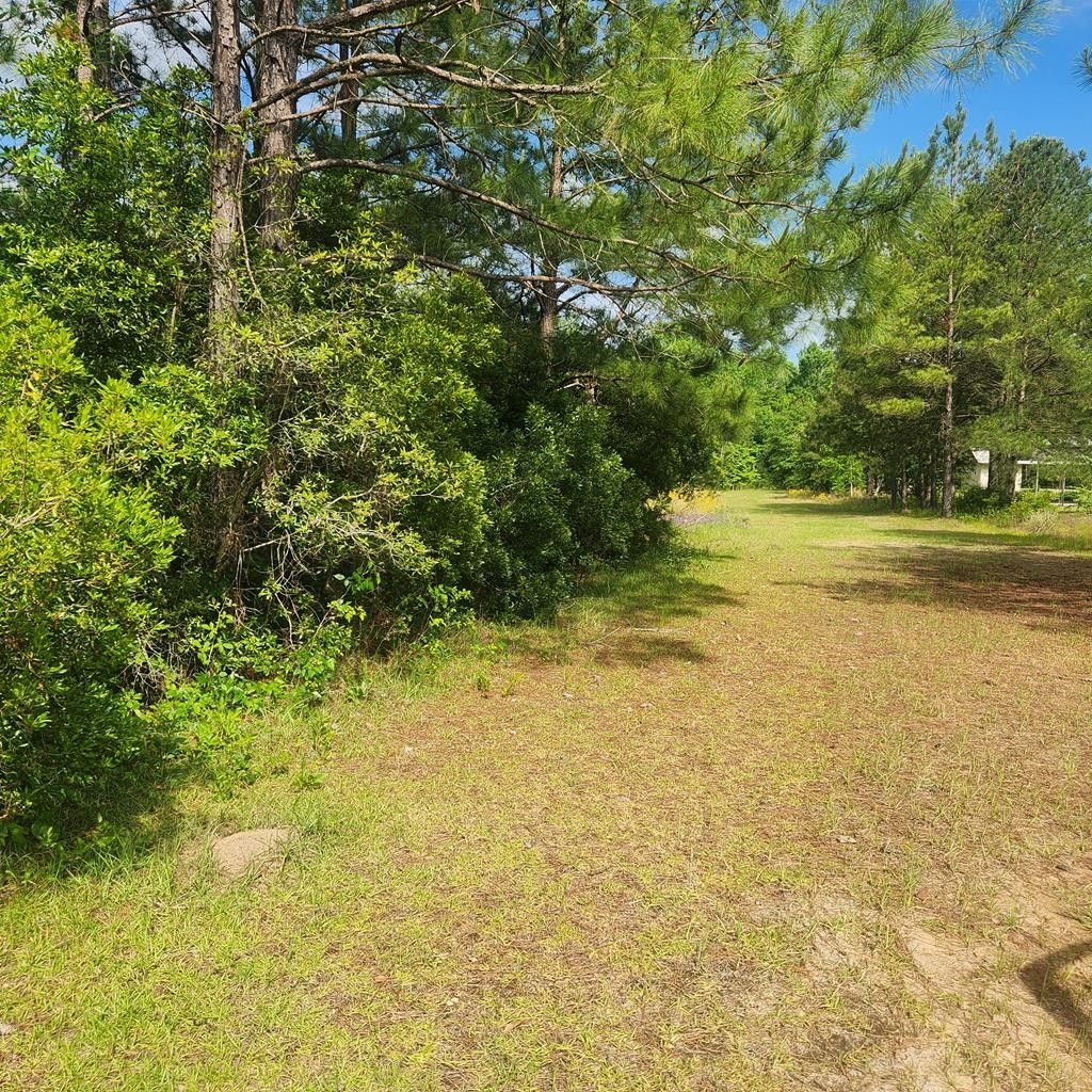 00 Reedy Creek Subdivision, Ailey, GA 30410 MLS 21455