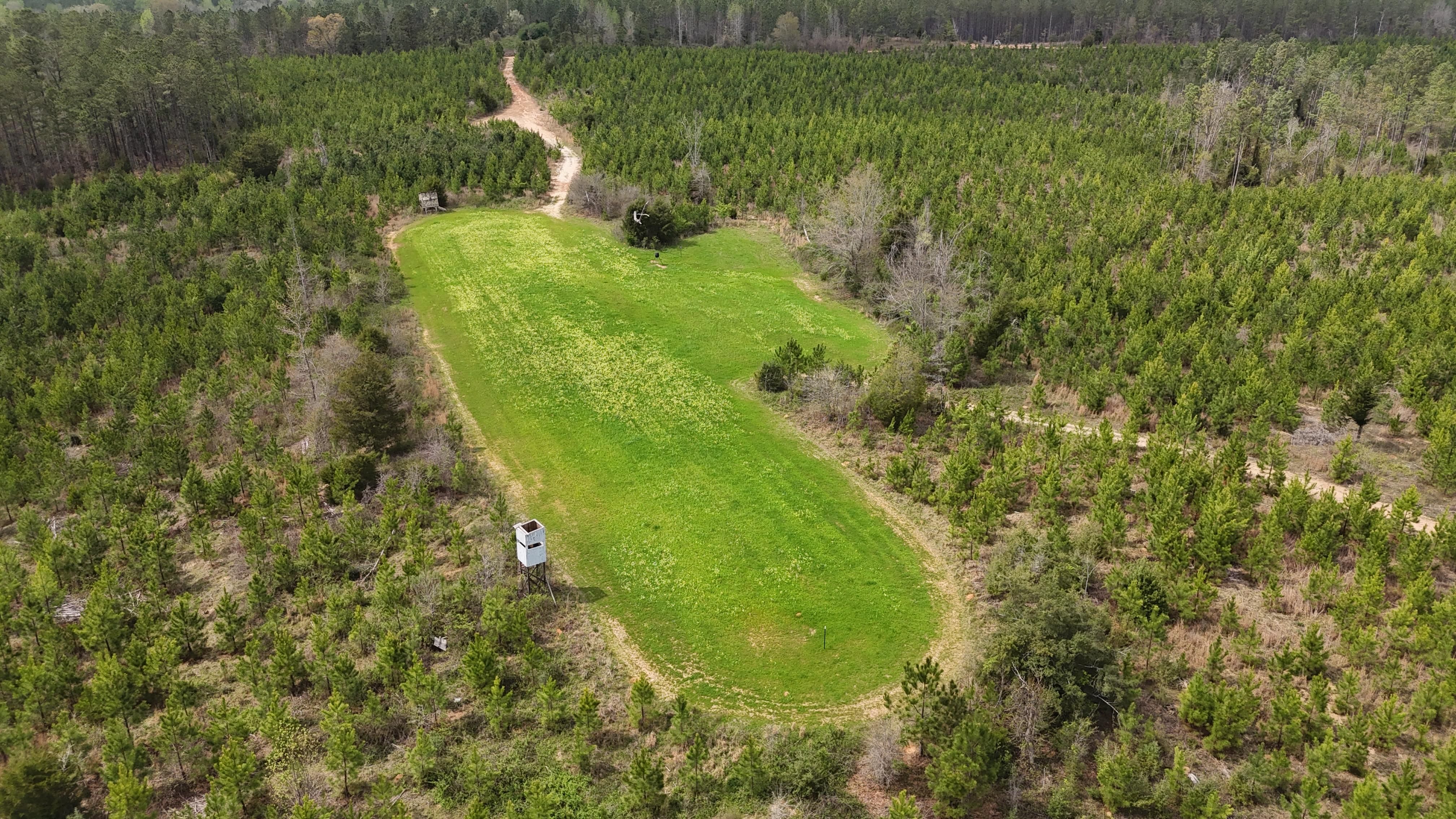 County Road 530, Verbena, AL 36091