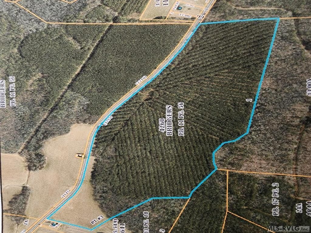 90 acres in Northampton County, North Carolina