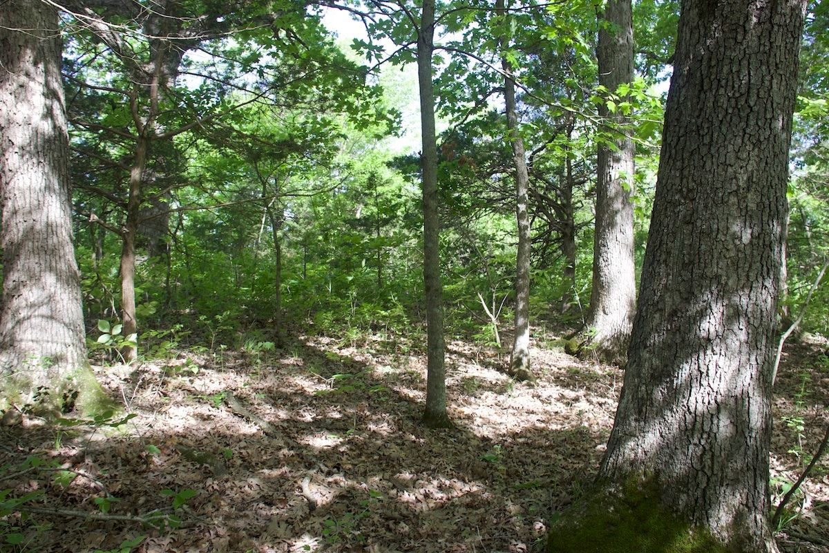 23258 Cedar Ridge Road, Jamestown, MO 65046