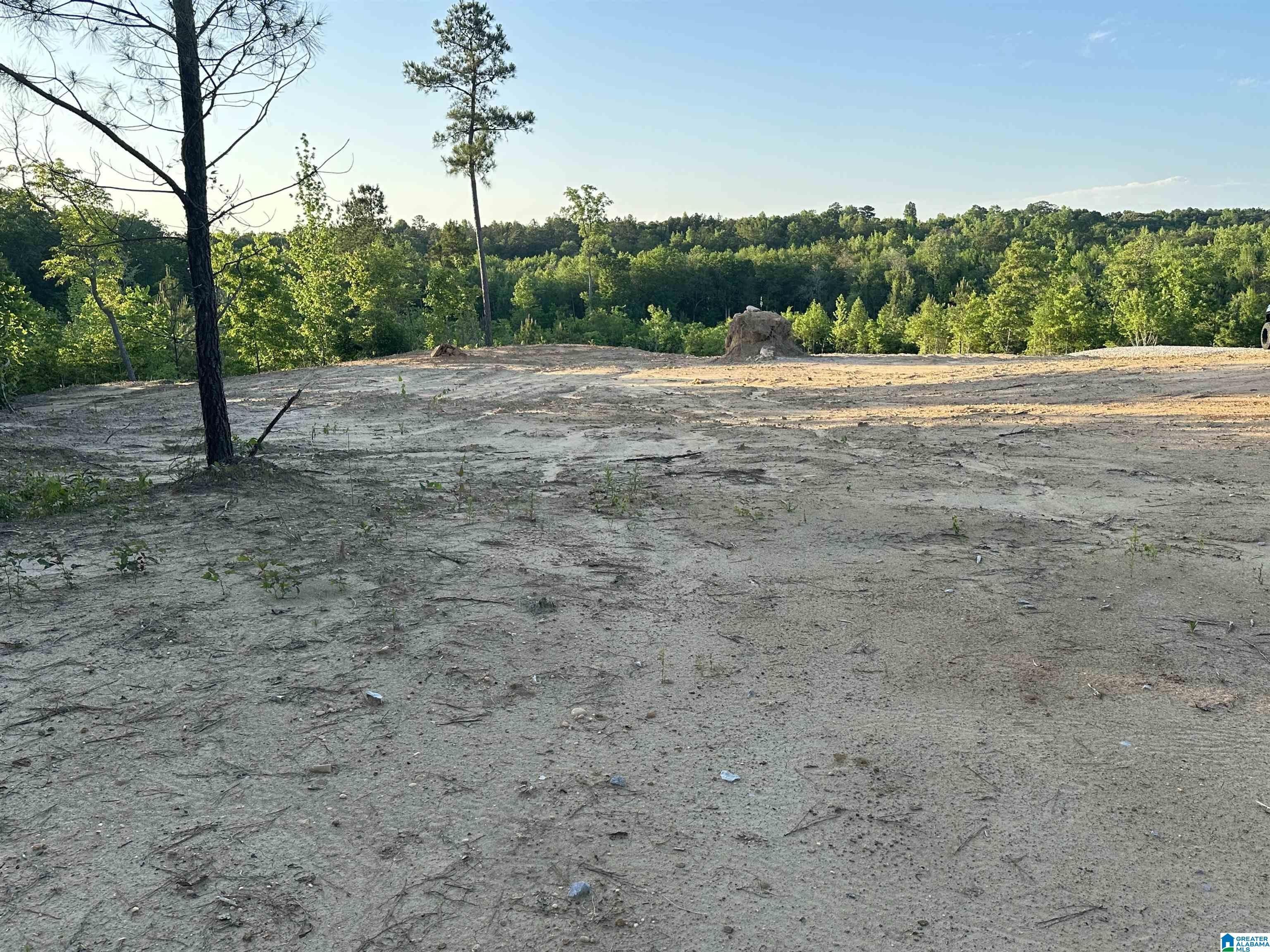 20 acres in Chilton County, Alabama