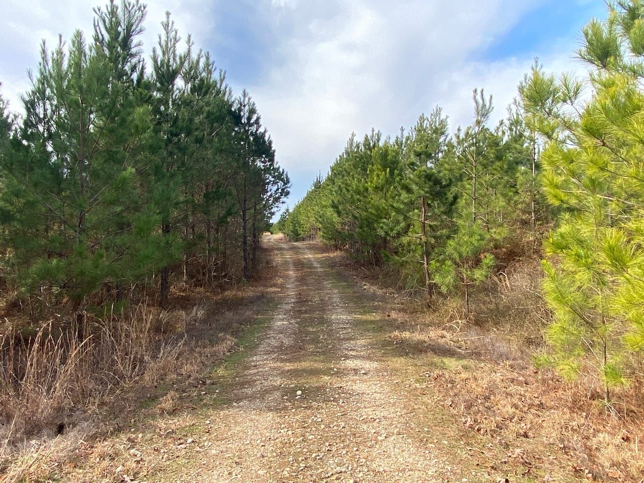82.73 acres in Pike County, Arkansas
