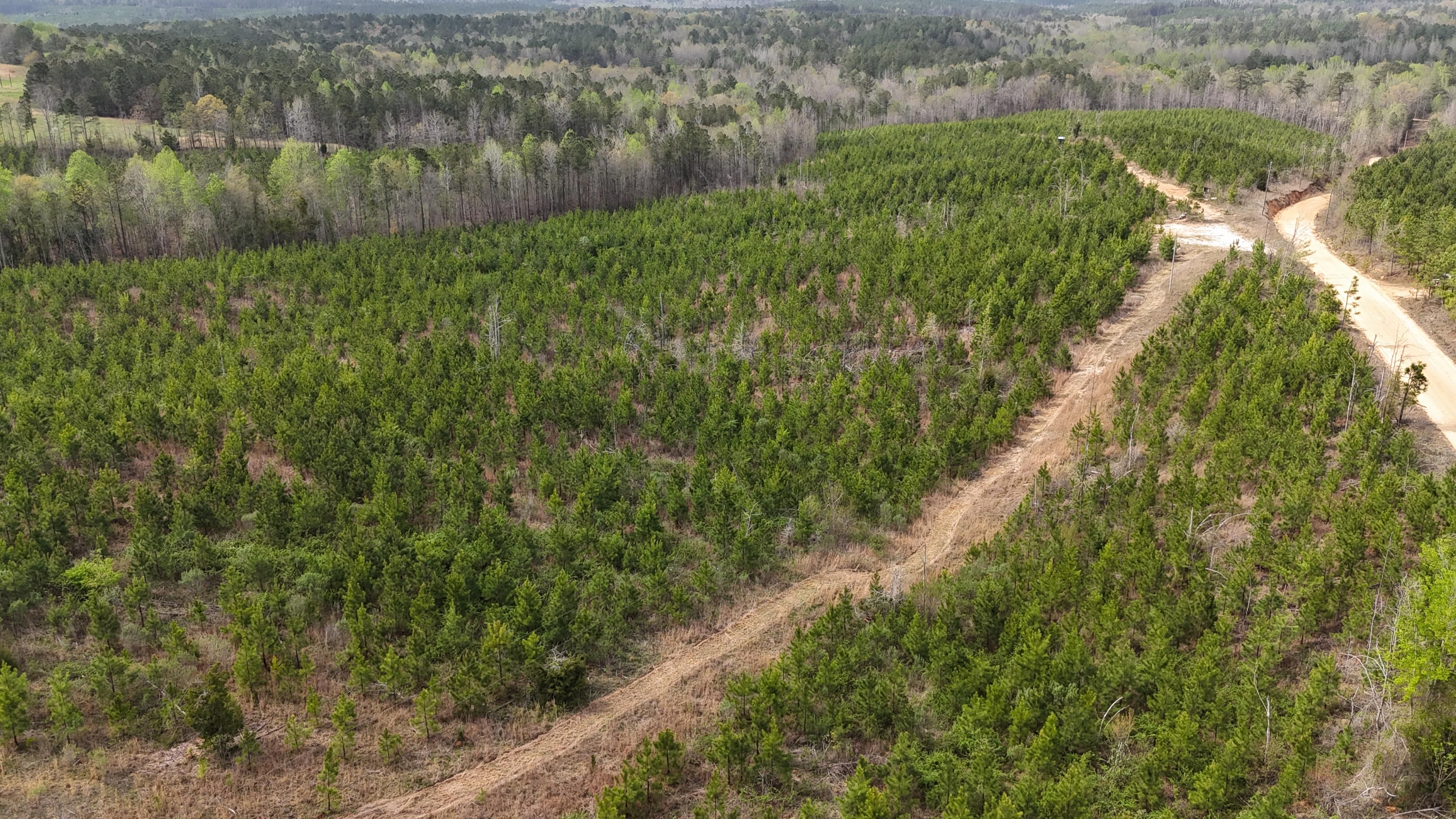 County Road 23, Verbena, AL 36091