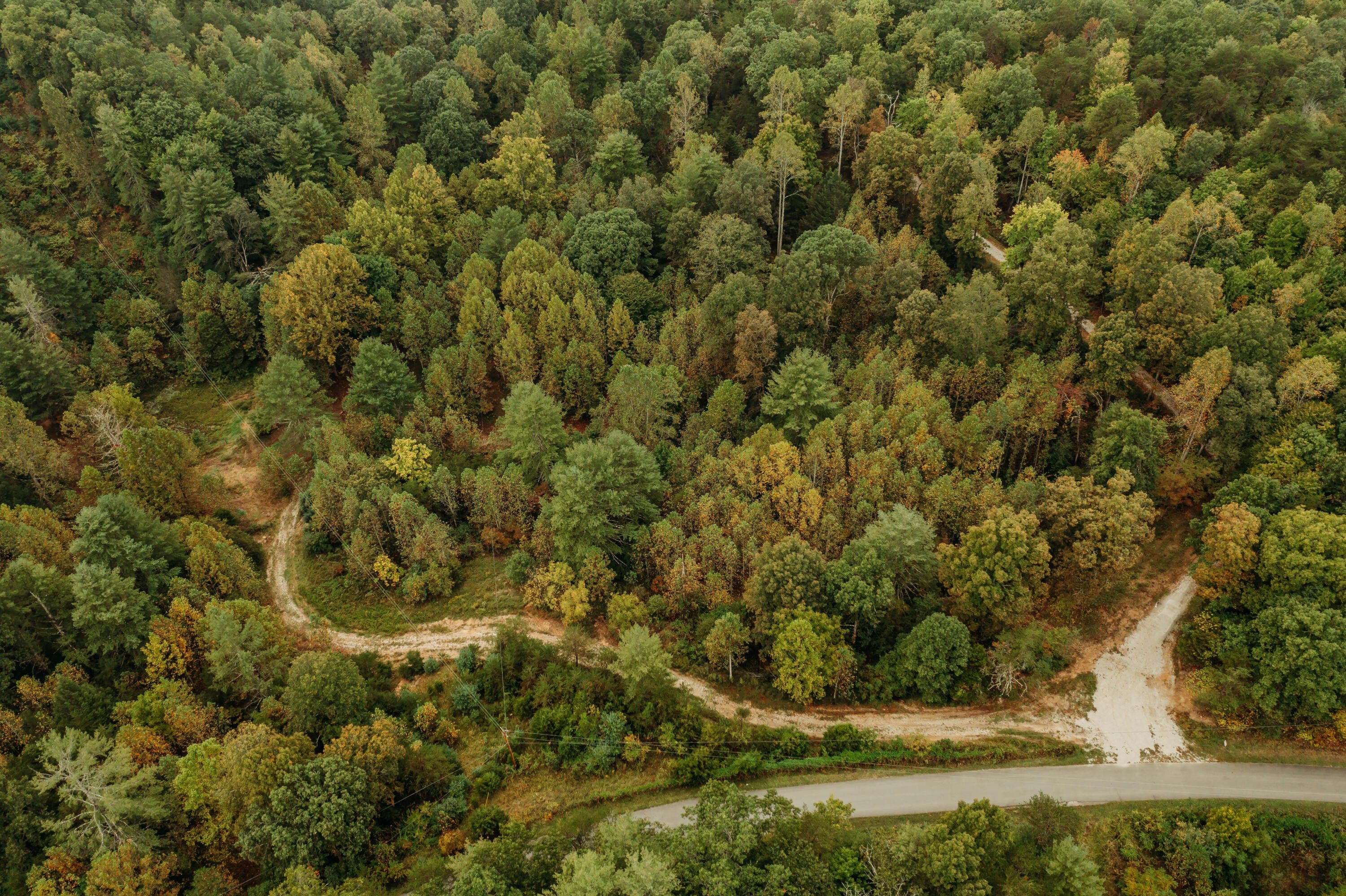 2.3 acres in Wolfe County, Kentucky