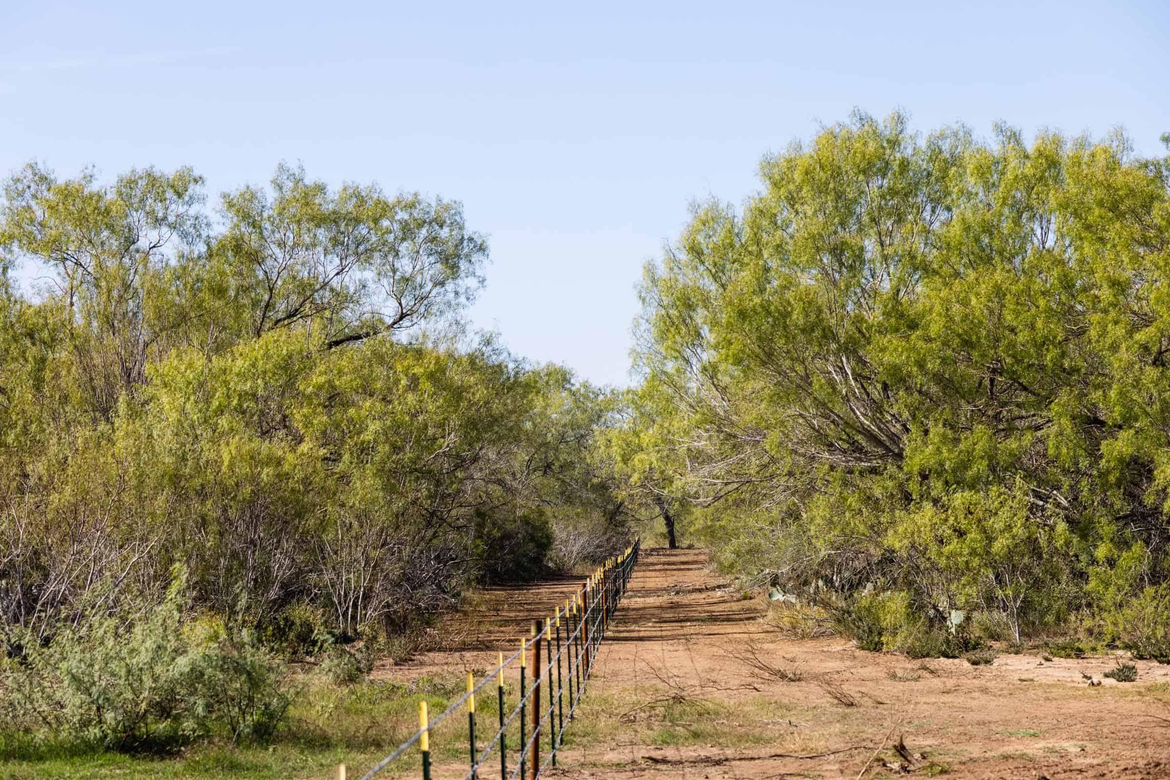 County Road 4201, Pearsall, TX 78061