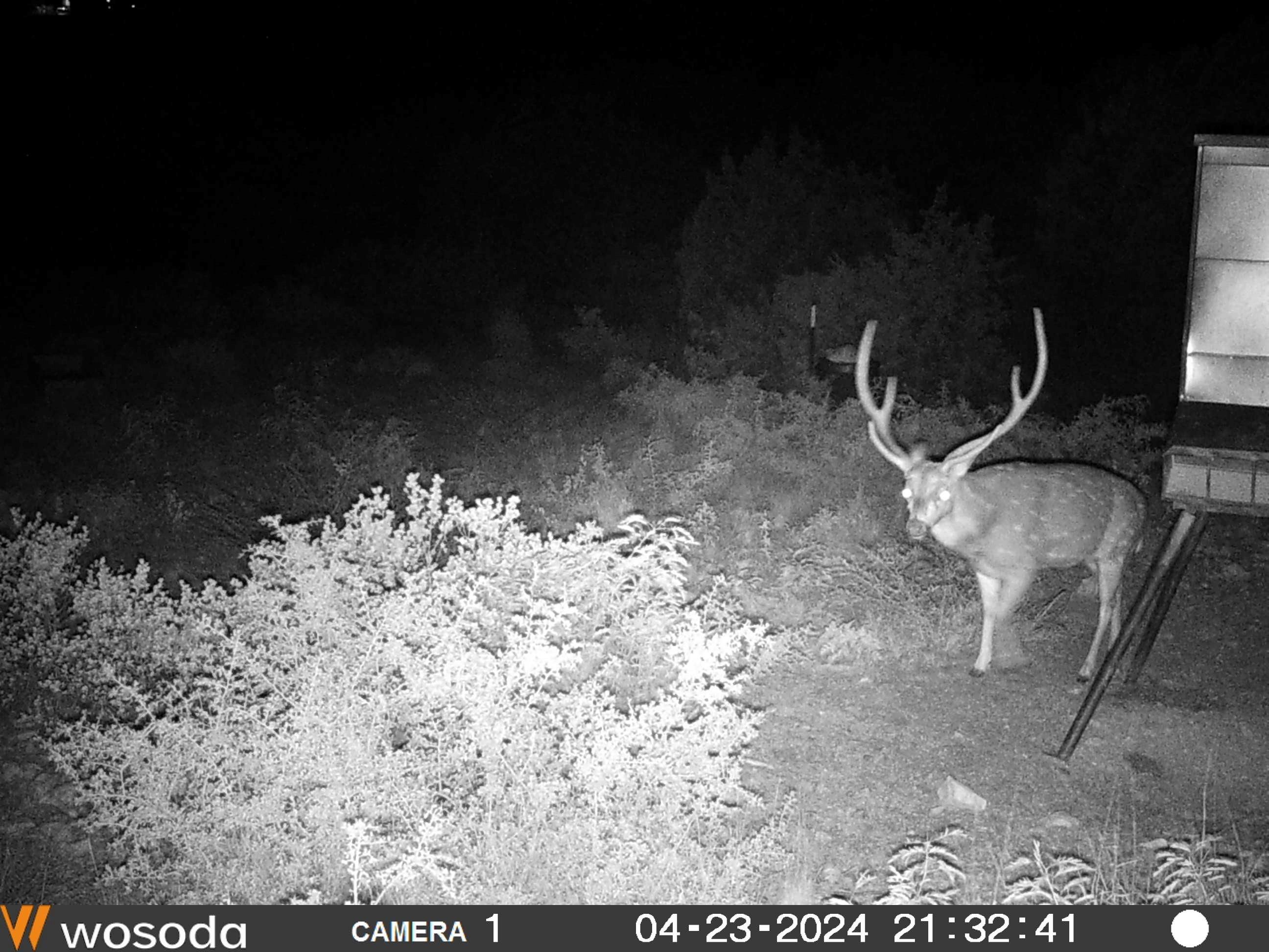 40 Acres For Sale In Texas - dvk8t51