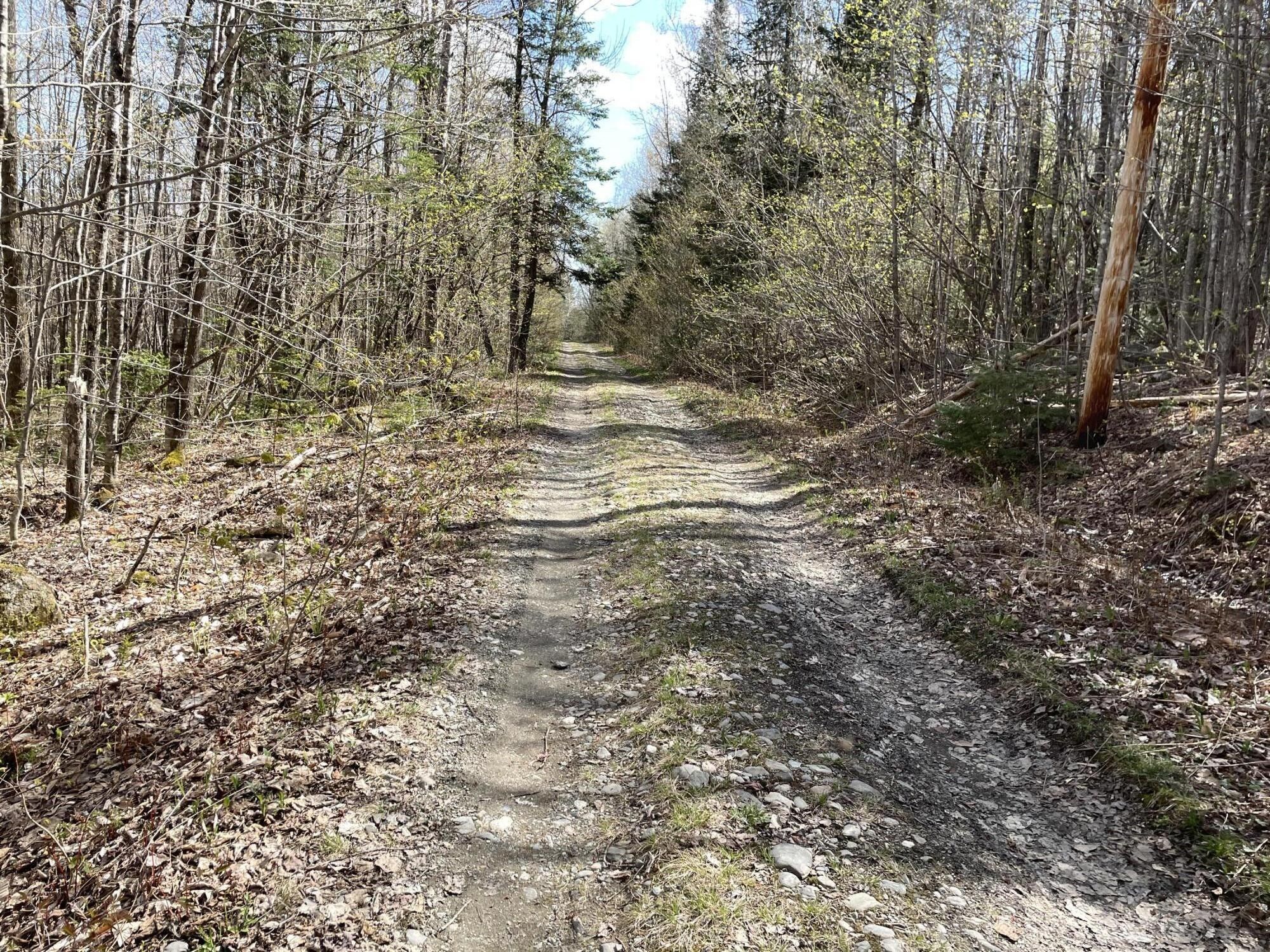 5 acres in Piscataquis County, Maine