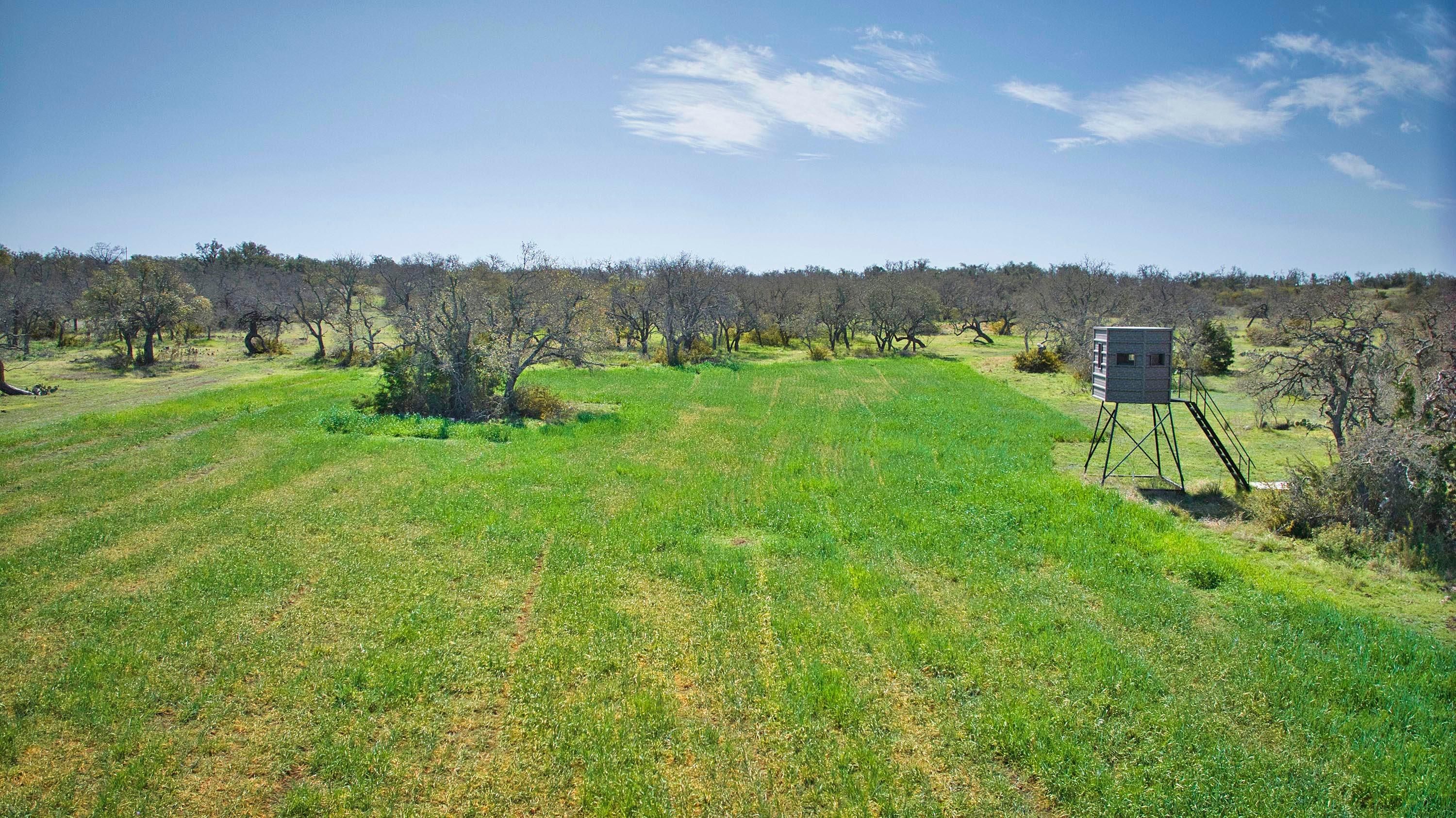 293 acres in Menard, TX, 76859