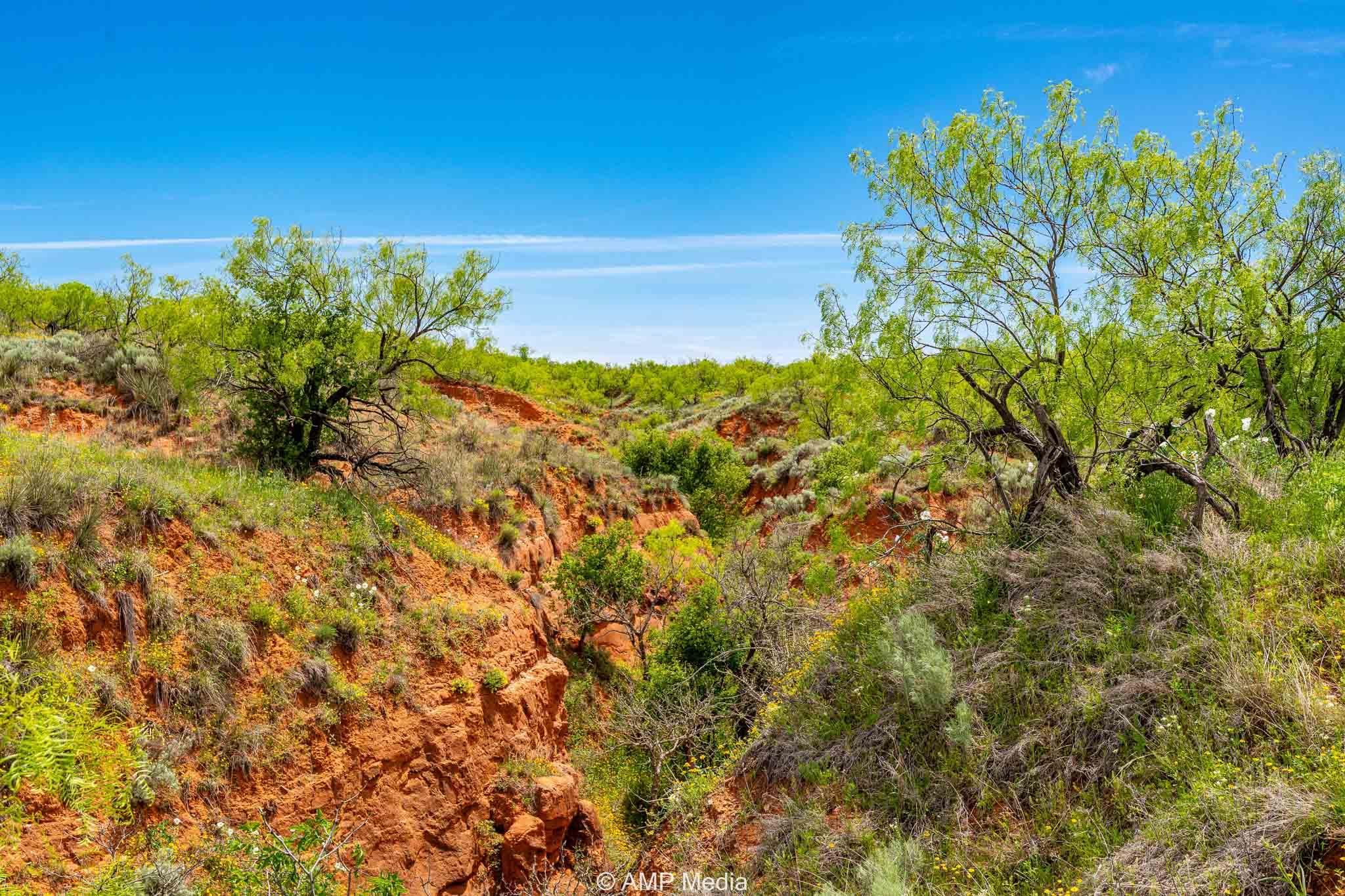 C R 340, Jayton, TX 79528