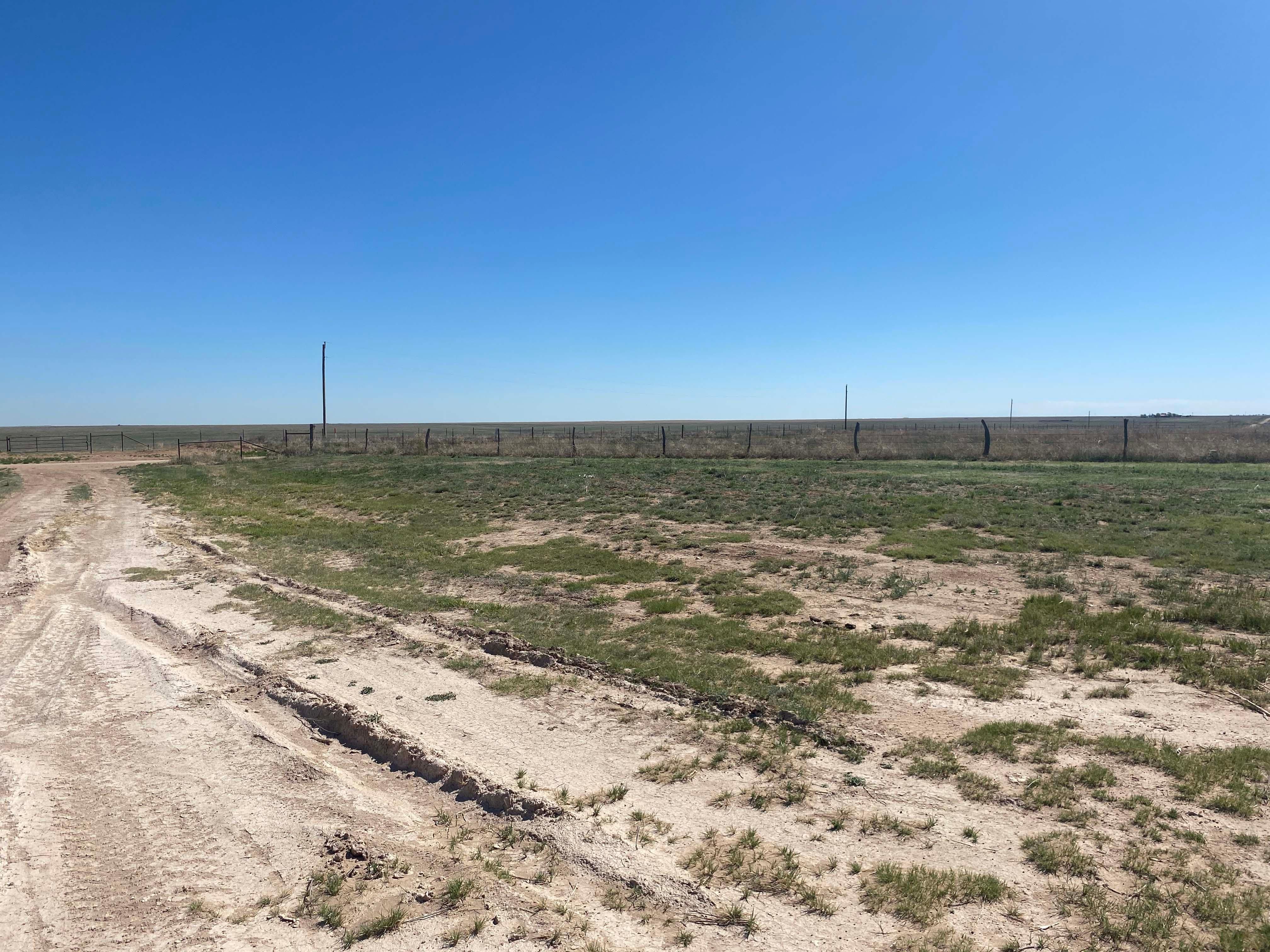 100 acres in Stratford, TX, 79084