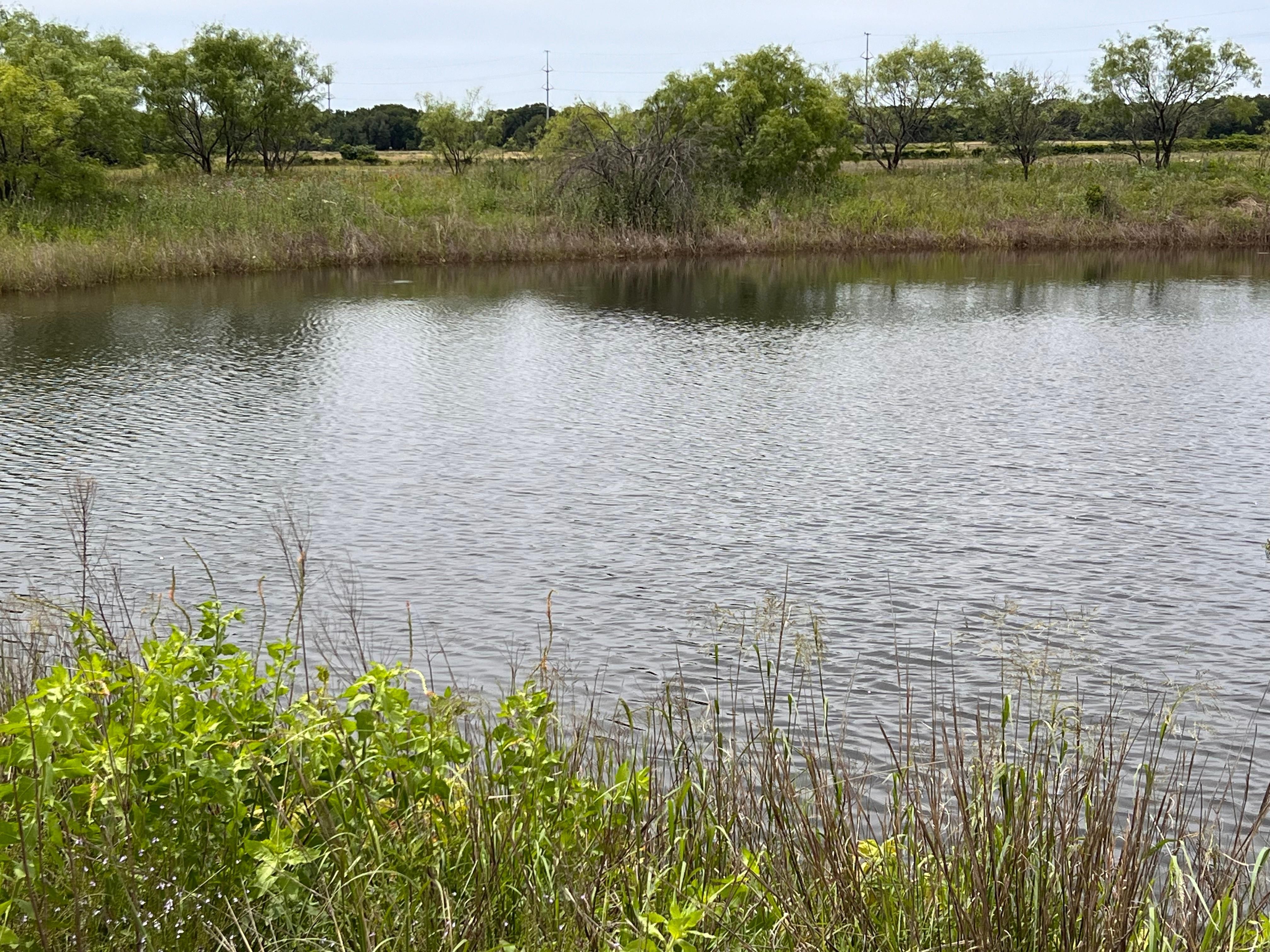 11 acres in Rising Star, TX, 76471