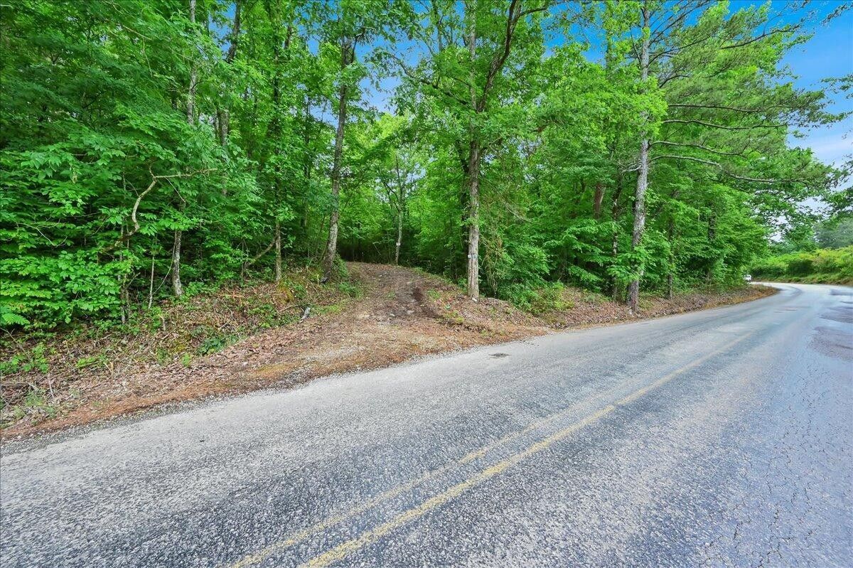 8 acres in Cullman County, Alabama