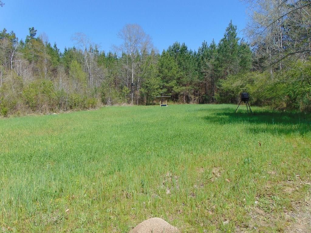 10697 Hwy 84 W, Roxie, MS 39661 MLS 141106