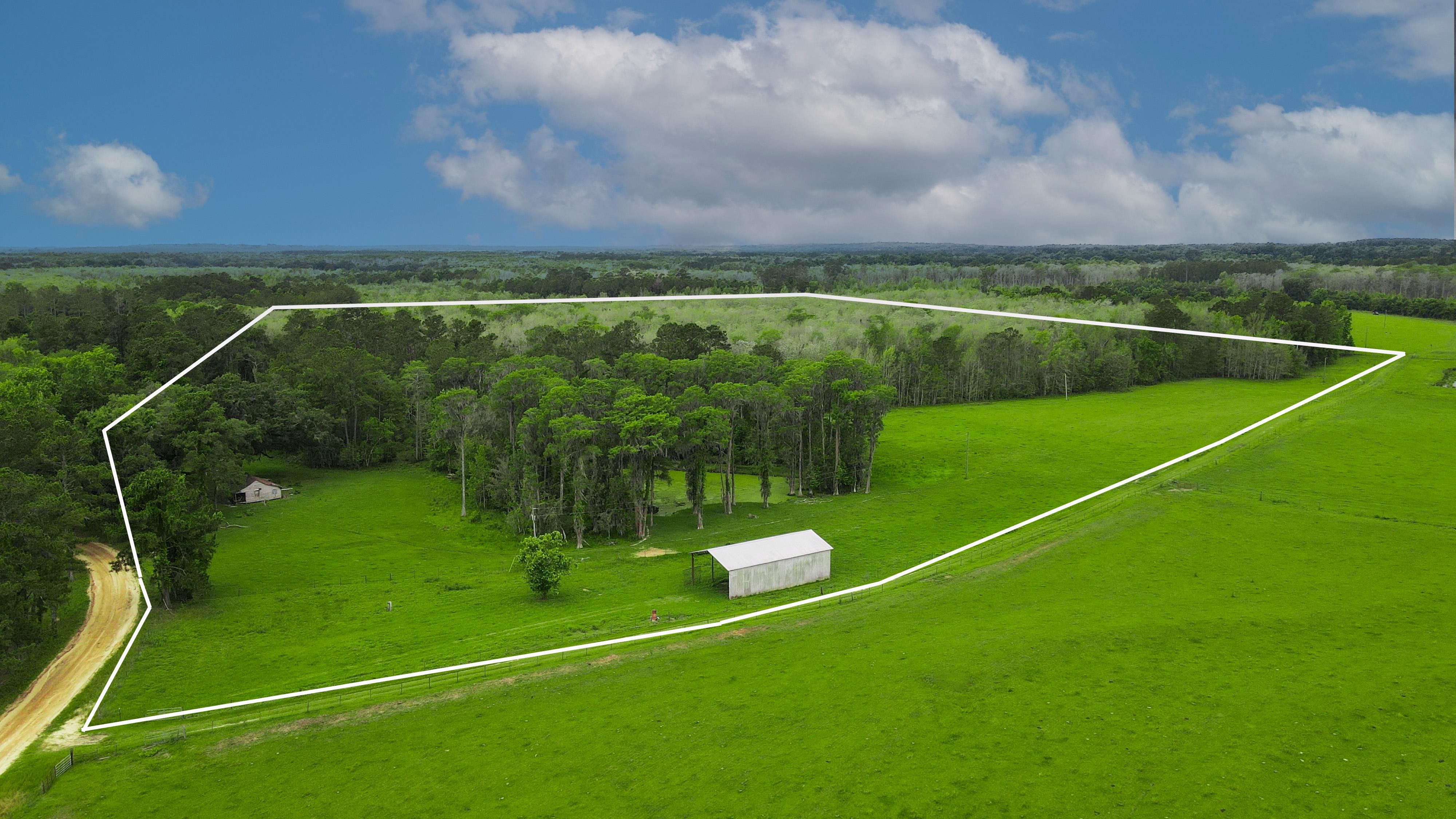 Northwest Hawks Avenue, Greenville, FL 32331 MLS 372270