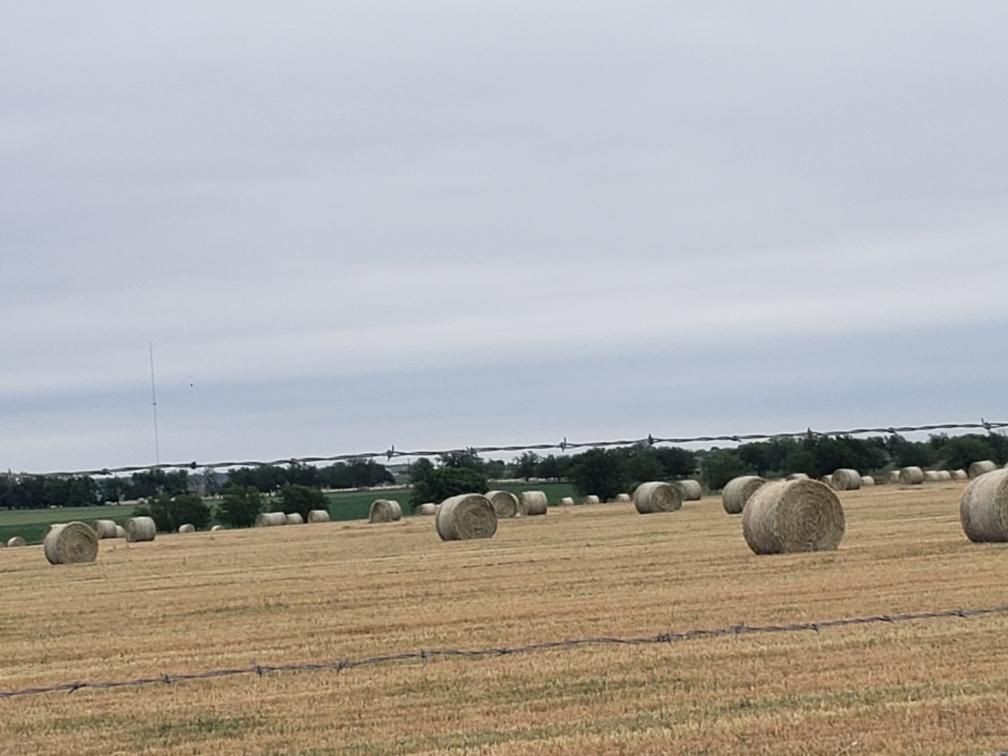 1334 Texas 16, Priddy, TX 76870 MLS 20616427