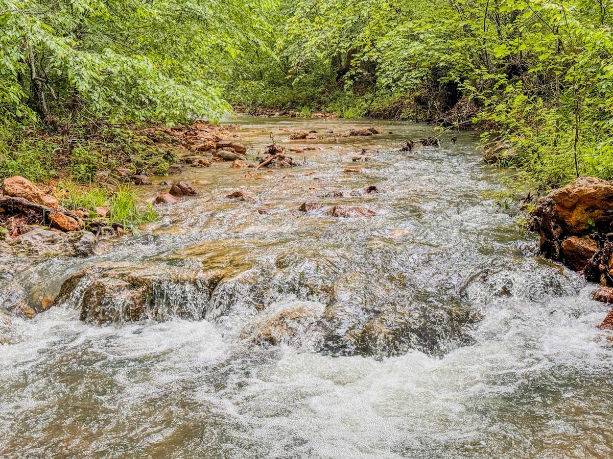 Highway C, Lot WP001, Annapolis, MO 63620 MLS 24029174